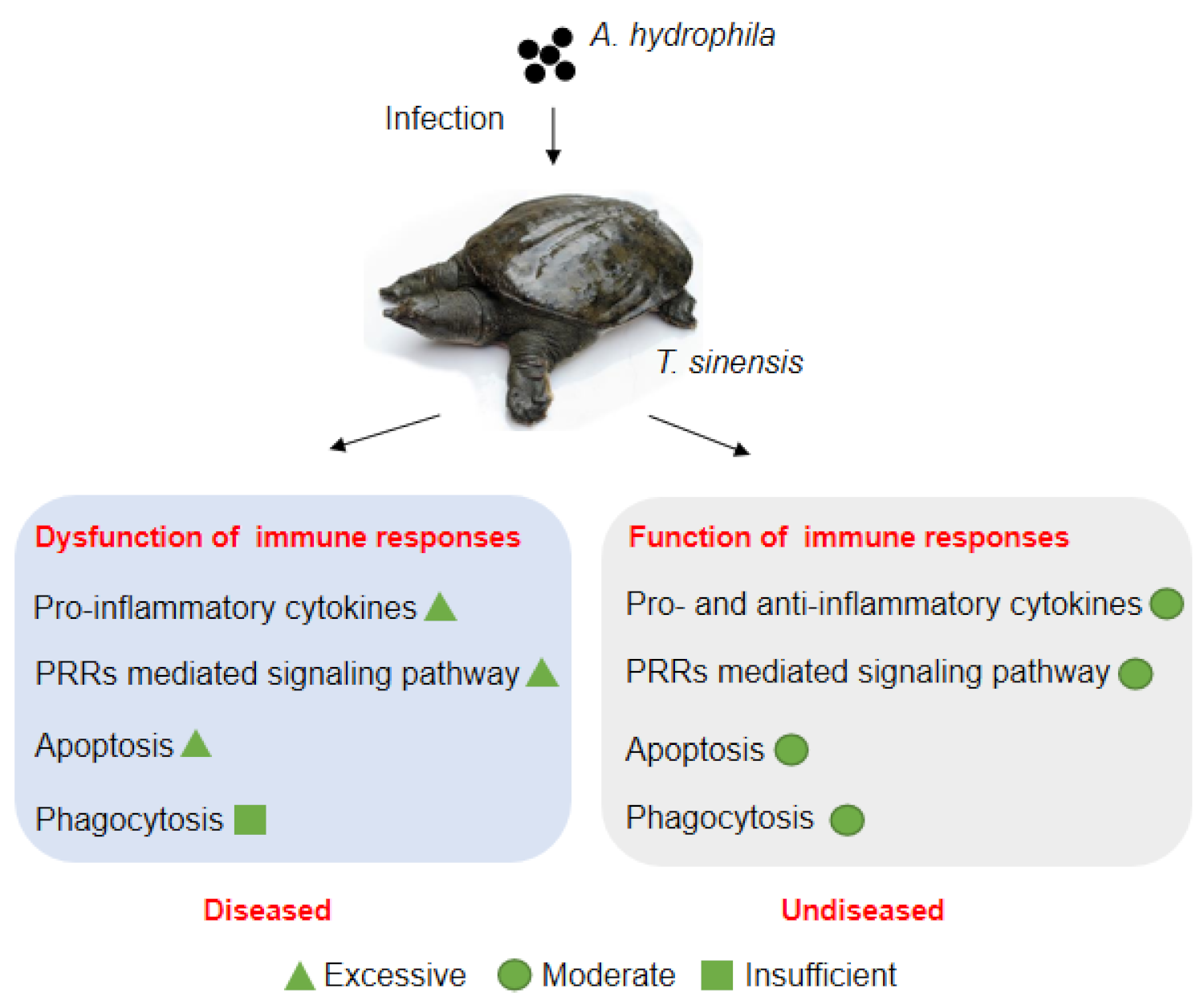 Biology 10 01218 g008