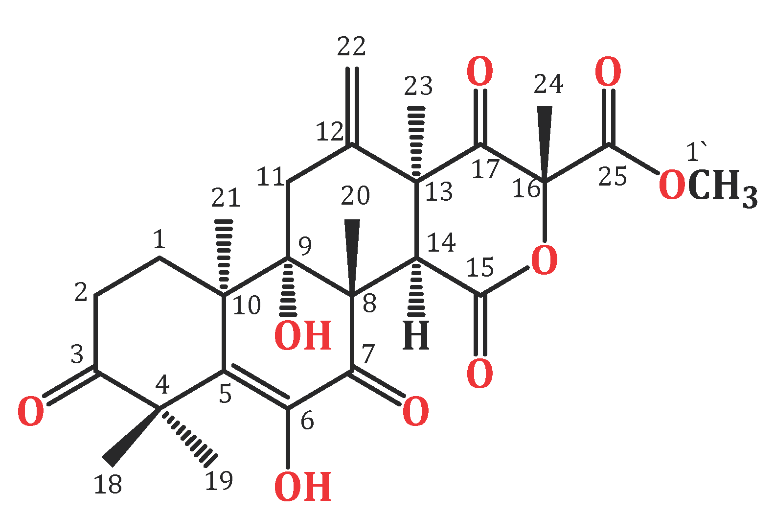 Biology 10 01219 g001