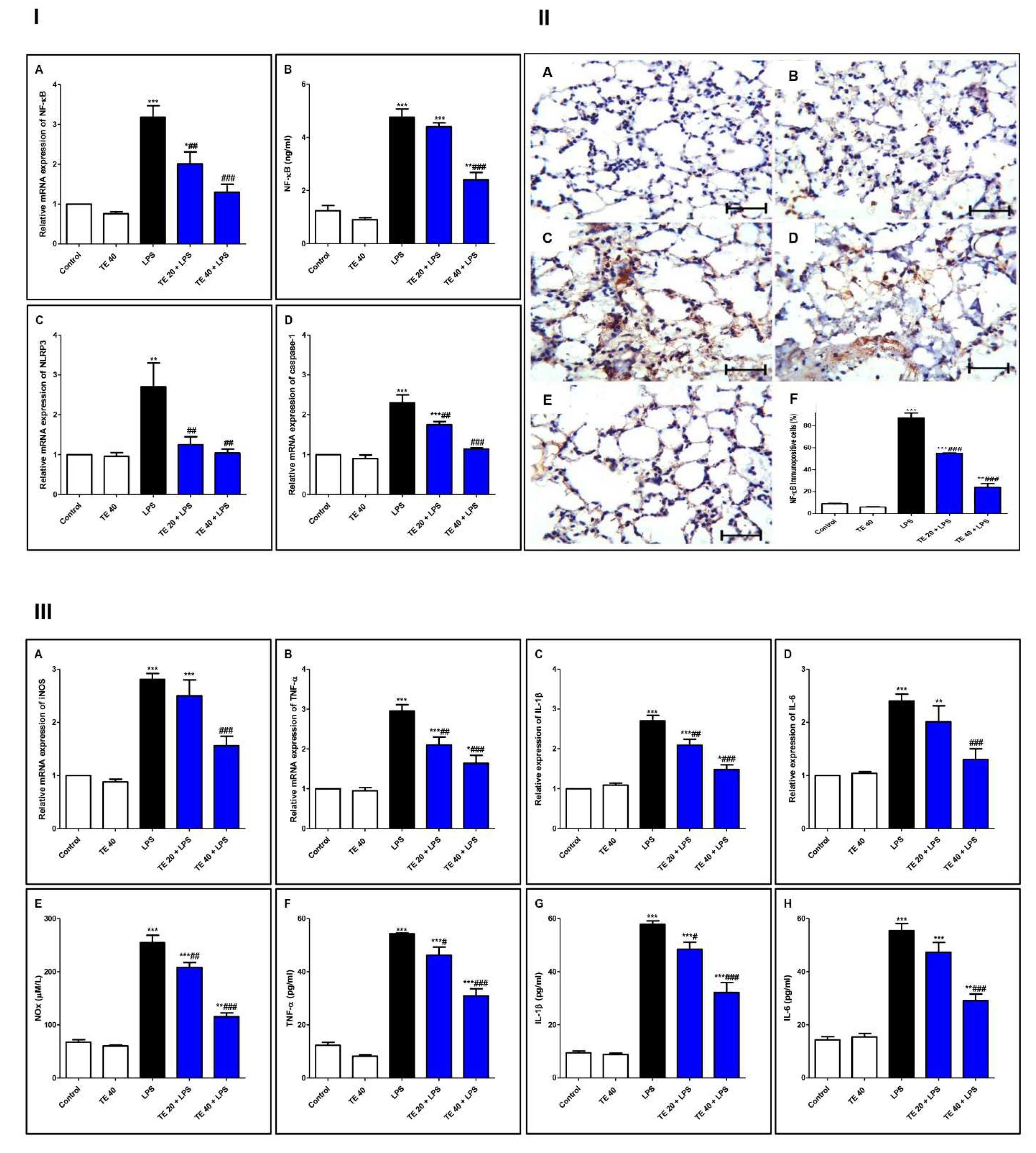 Biology 10 01219 g007