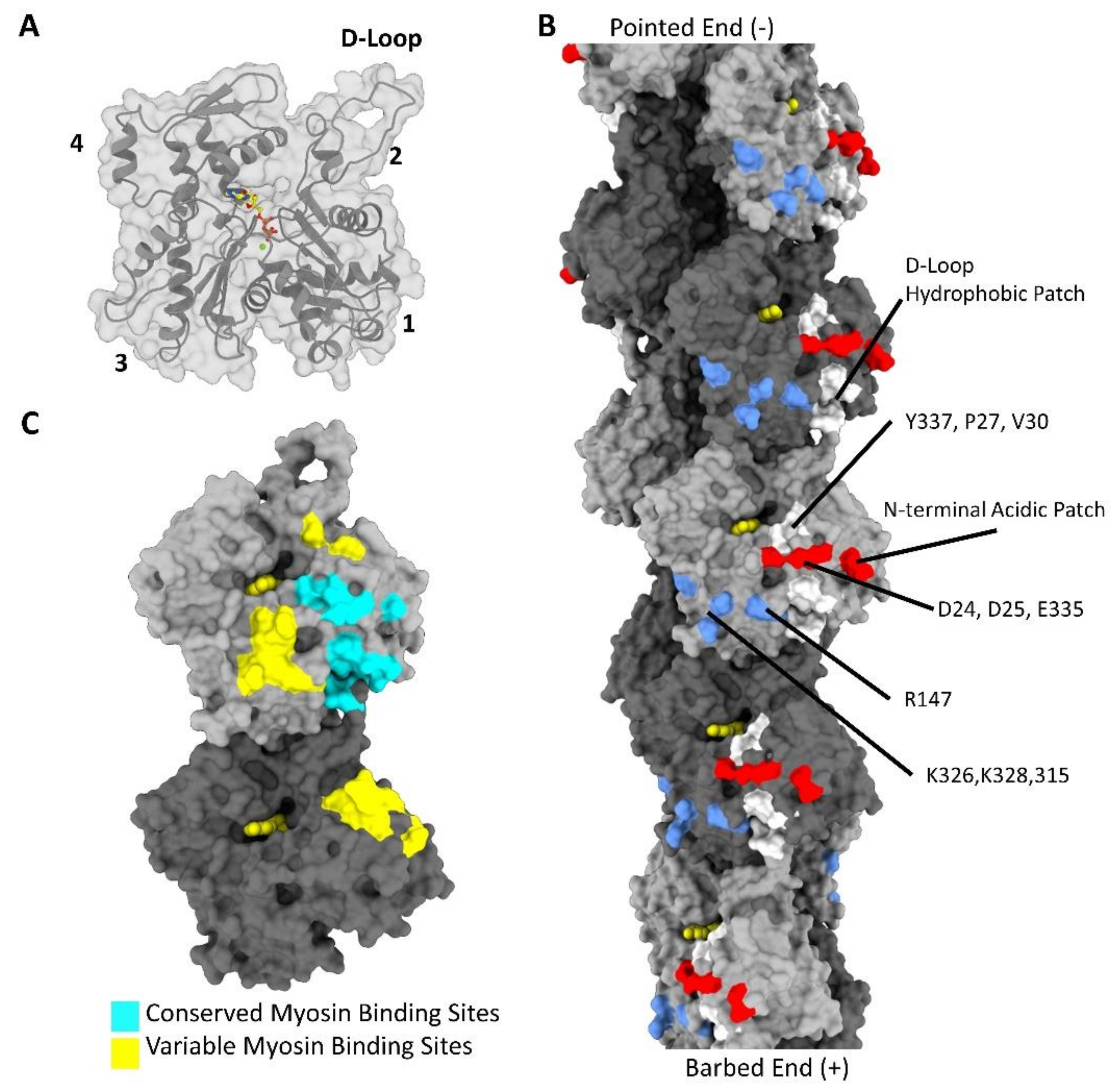Biology 10 01221 g001