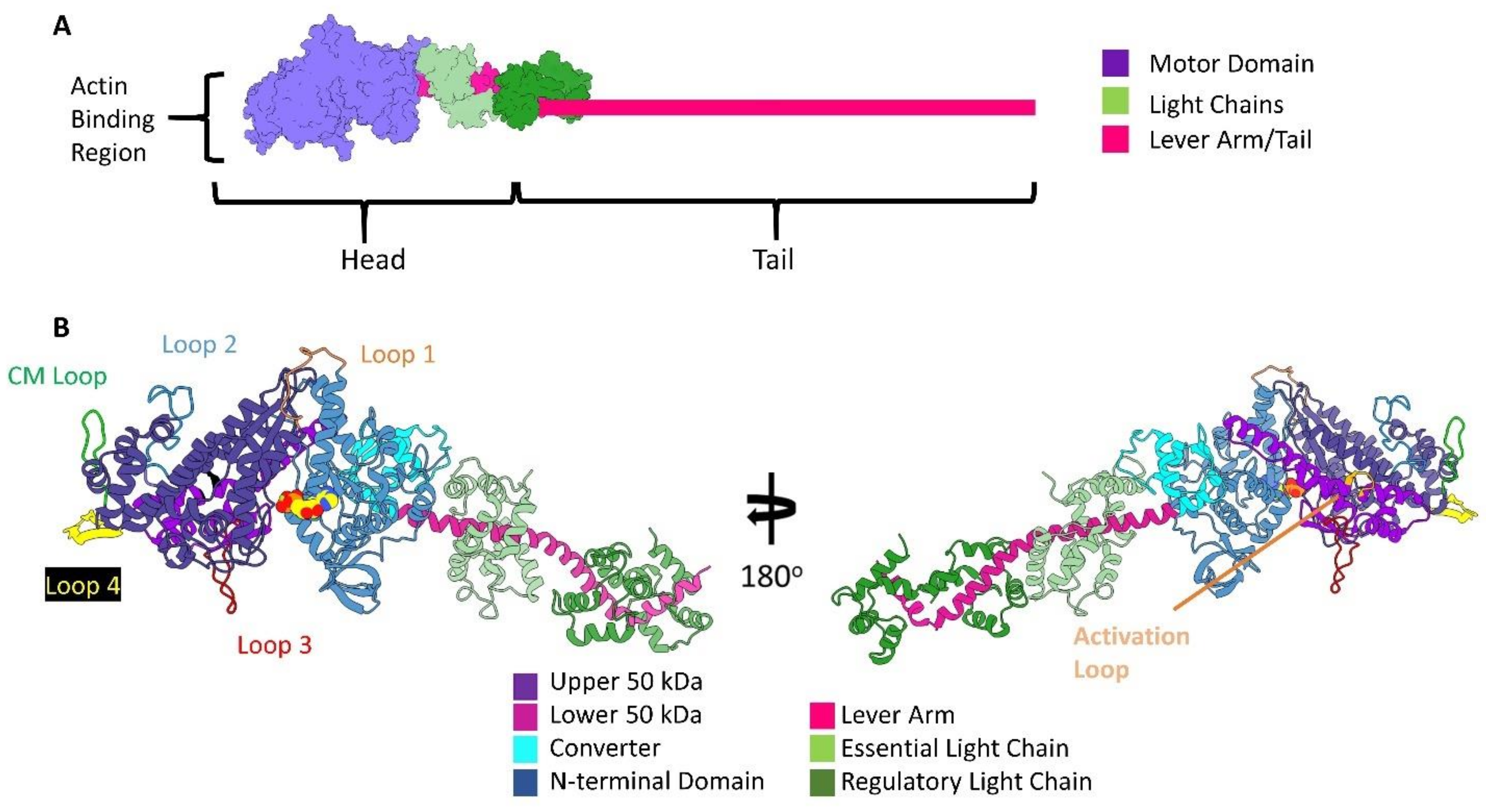 Biology 10 01221 g002