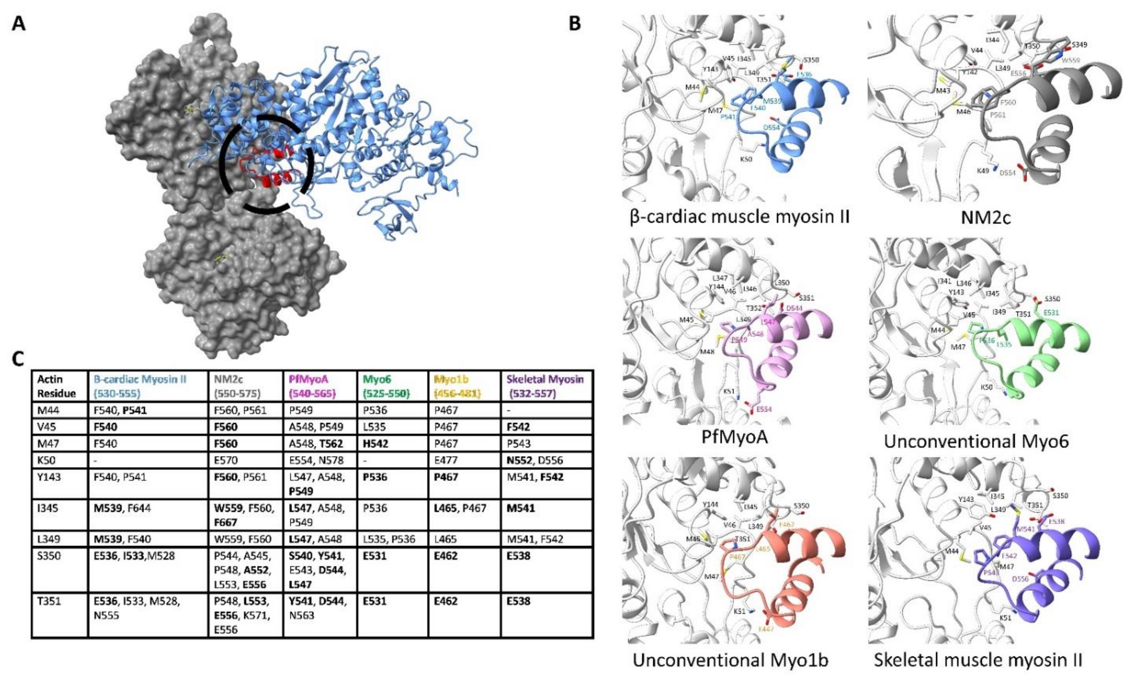 Biology 10 01221 g004