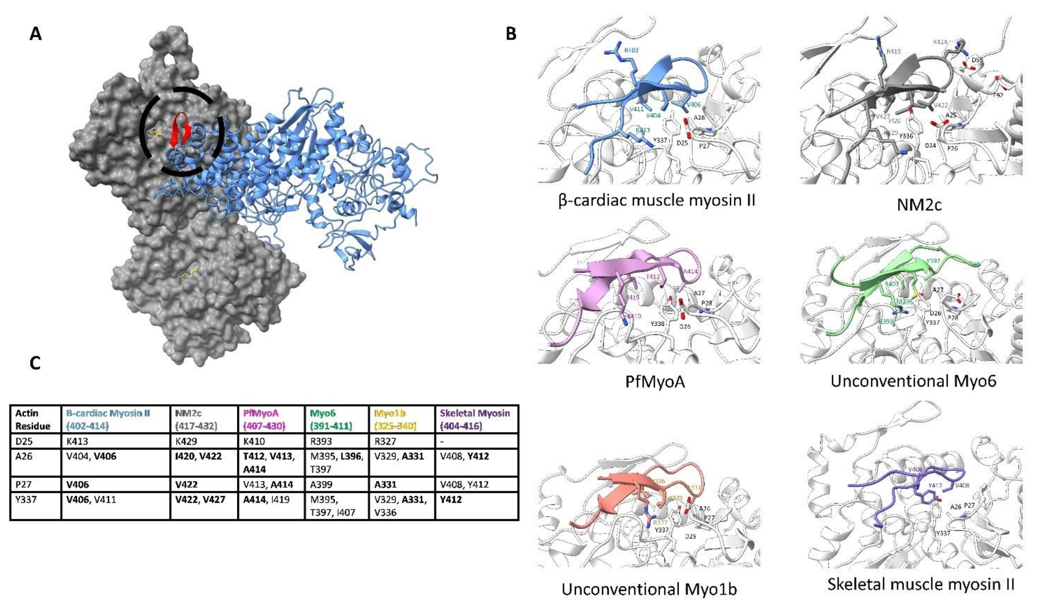 Biology 10 01221 g006