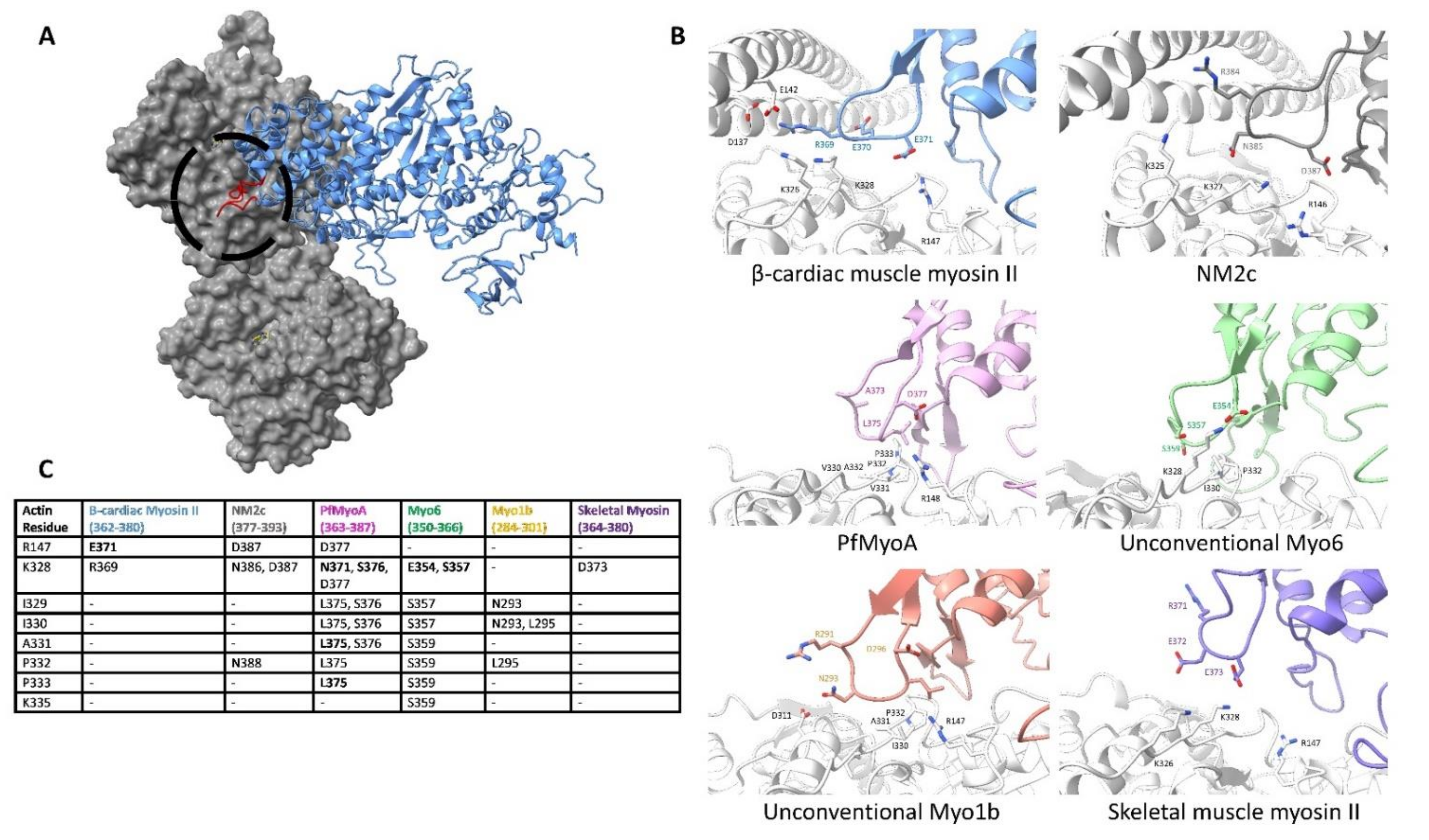 Biology 10 01221 g007