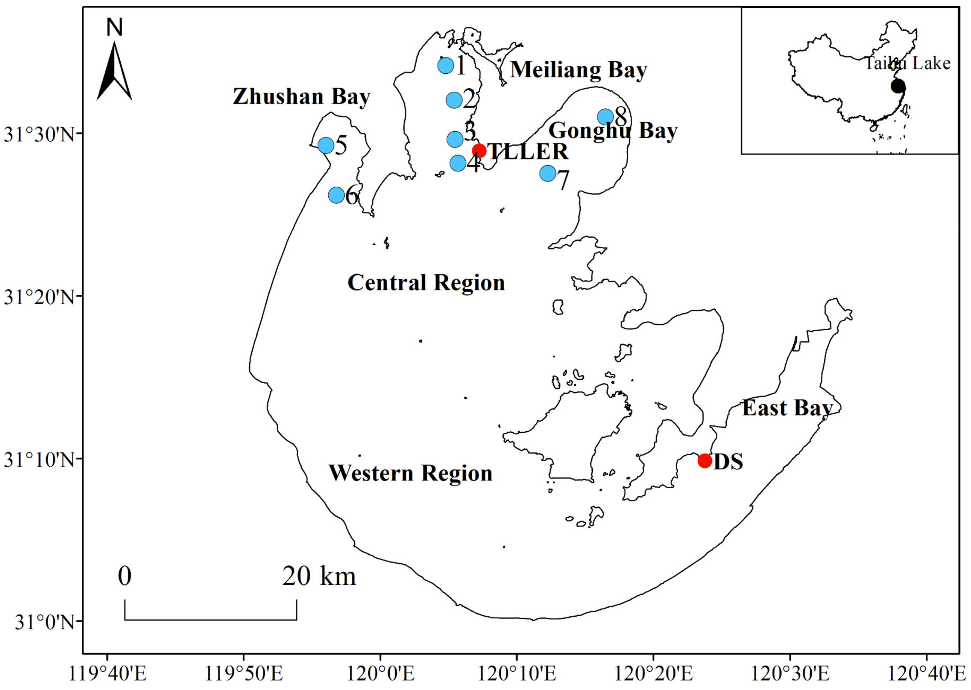 Biology 10 01222 g001