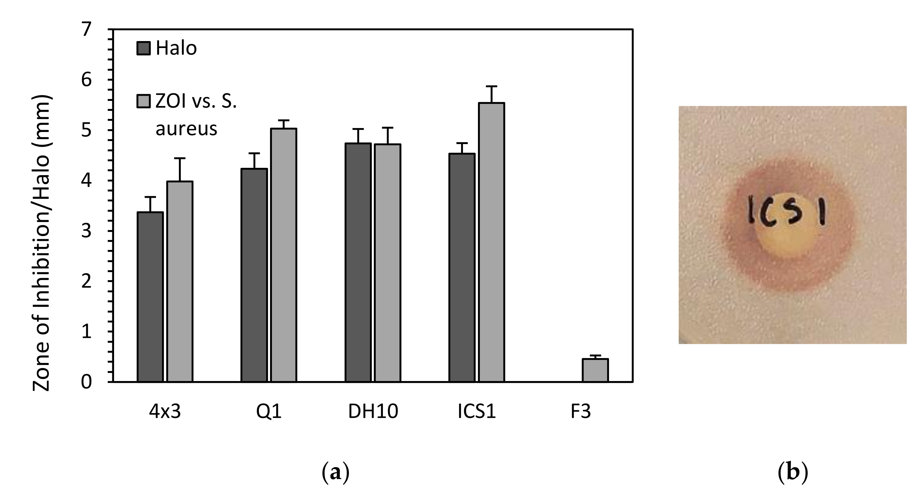 Biology 10 01227 g003