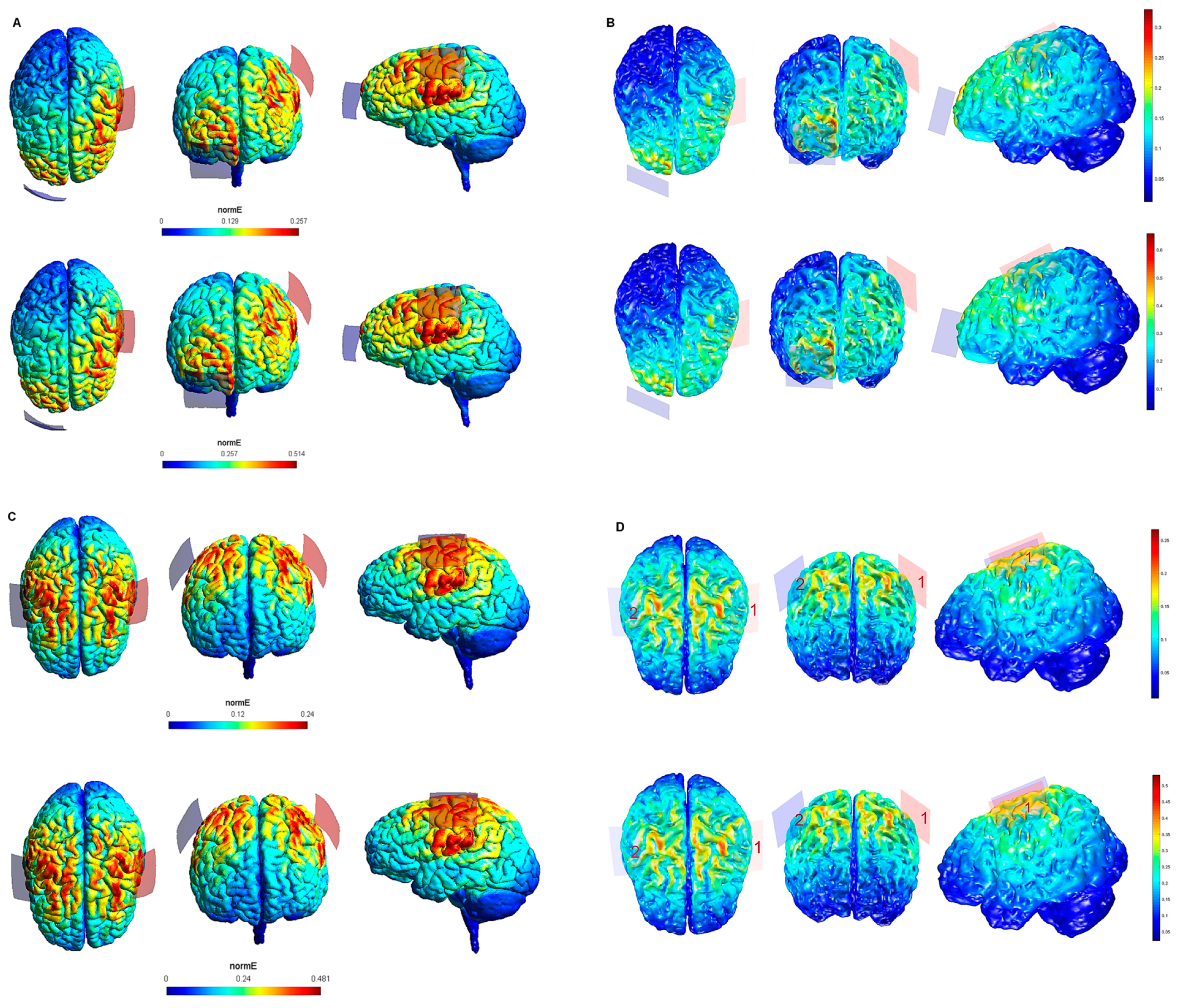 Biology 10 01230 g001