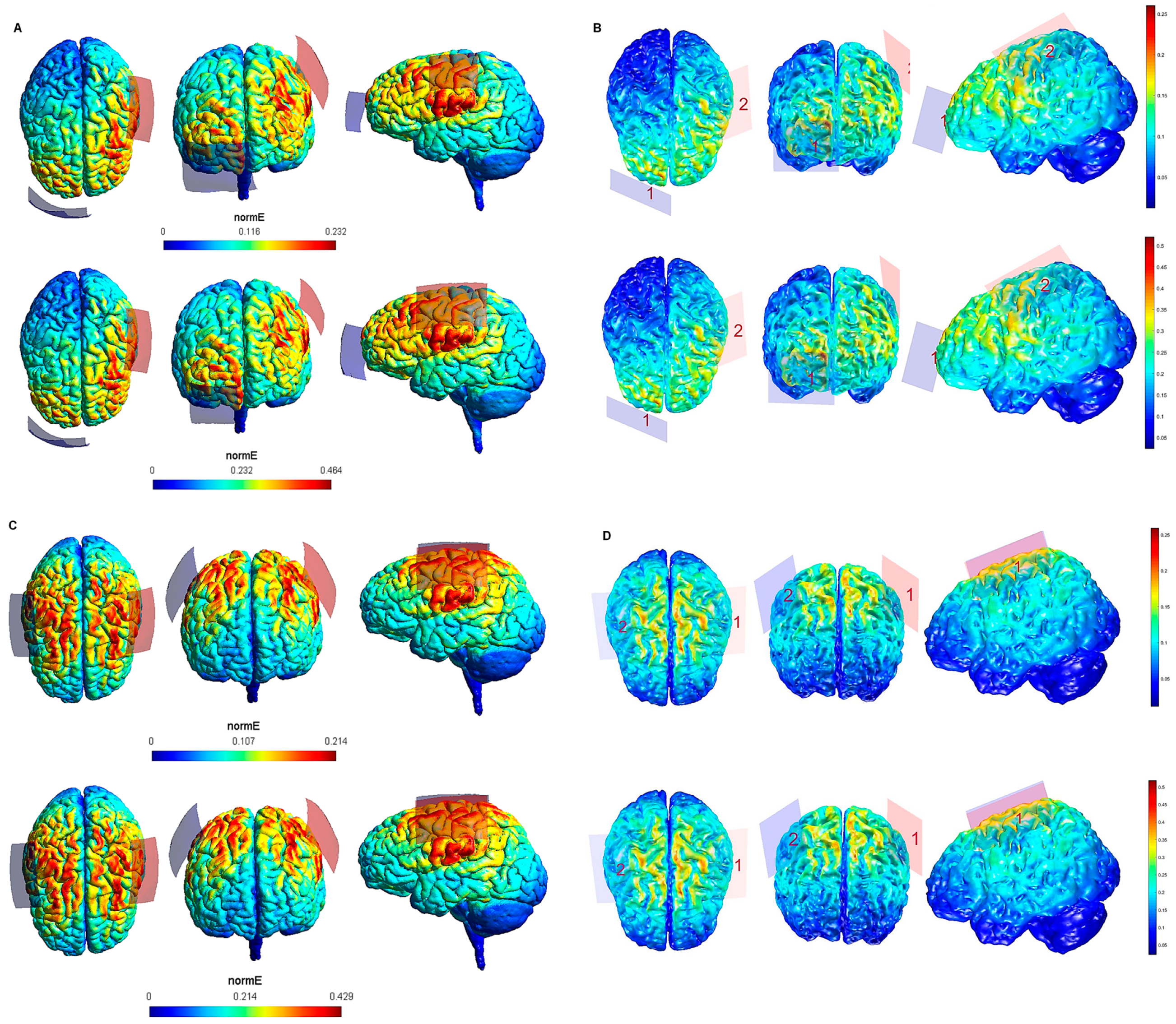 Biology 10 01230 g002