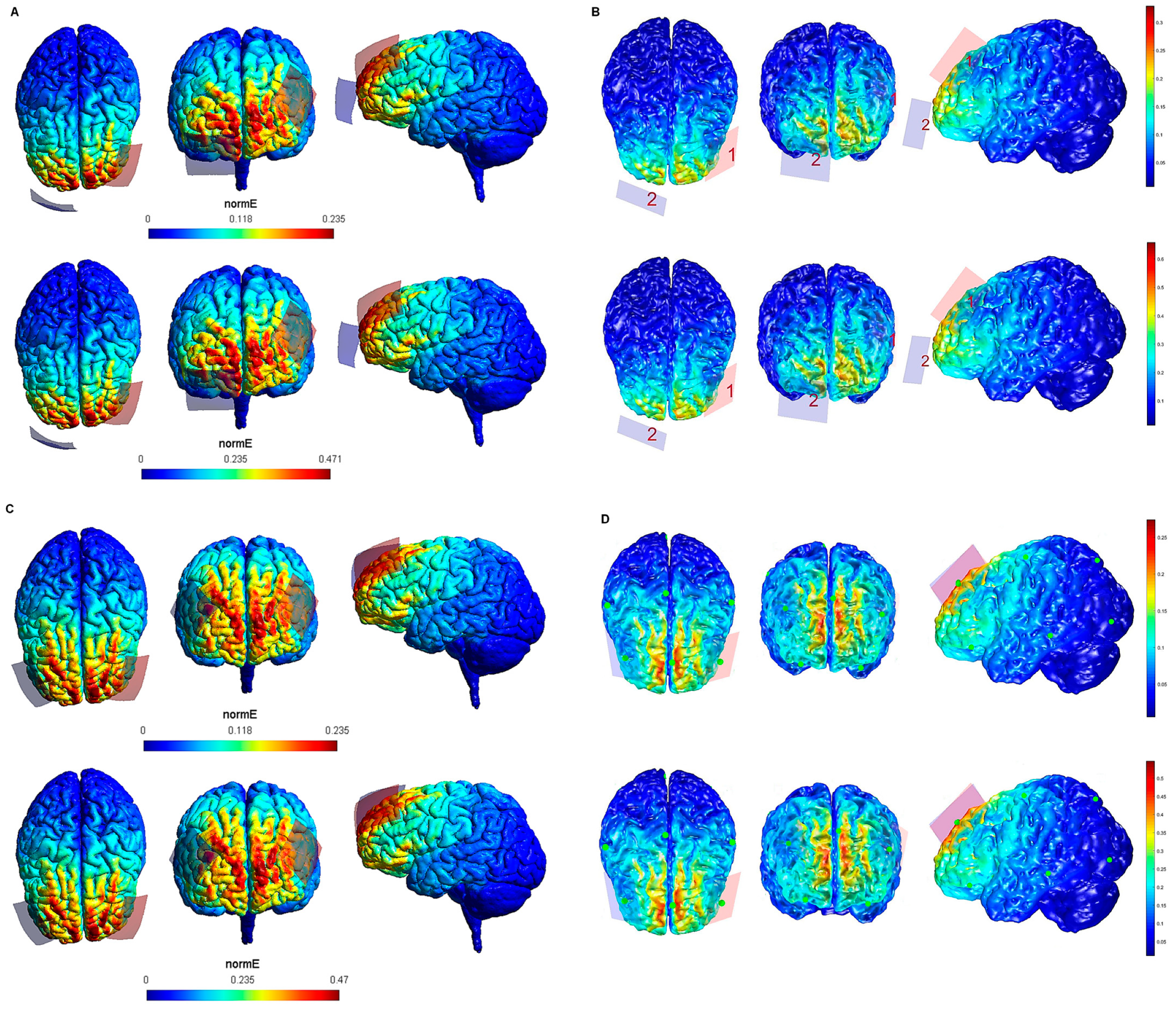 Biology 10 01230 g003