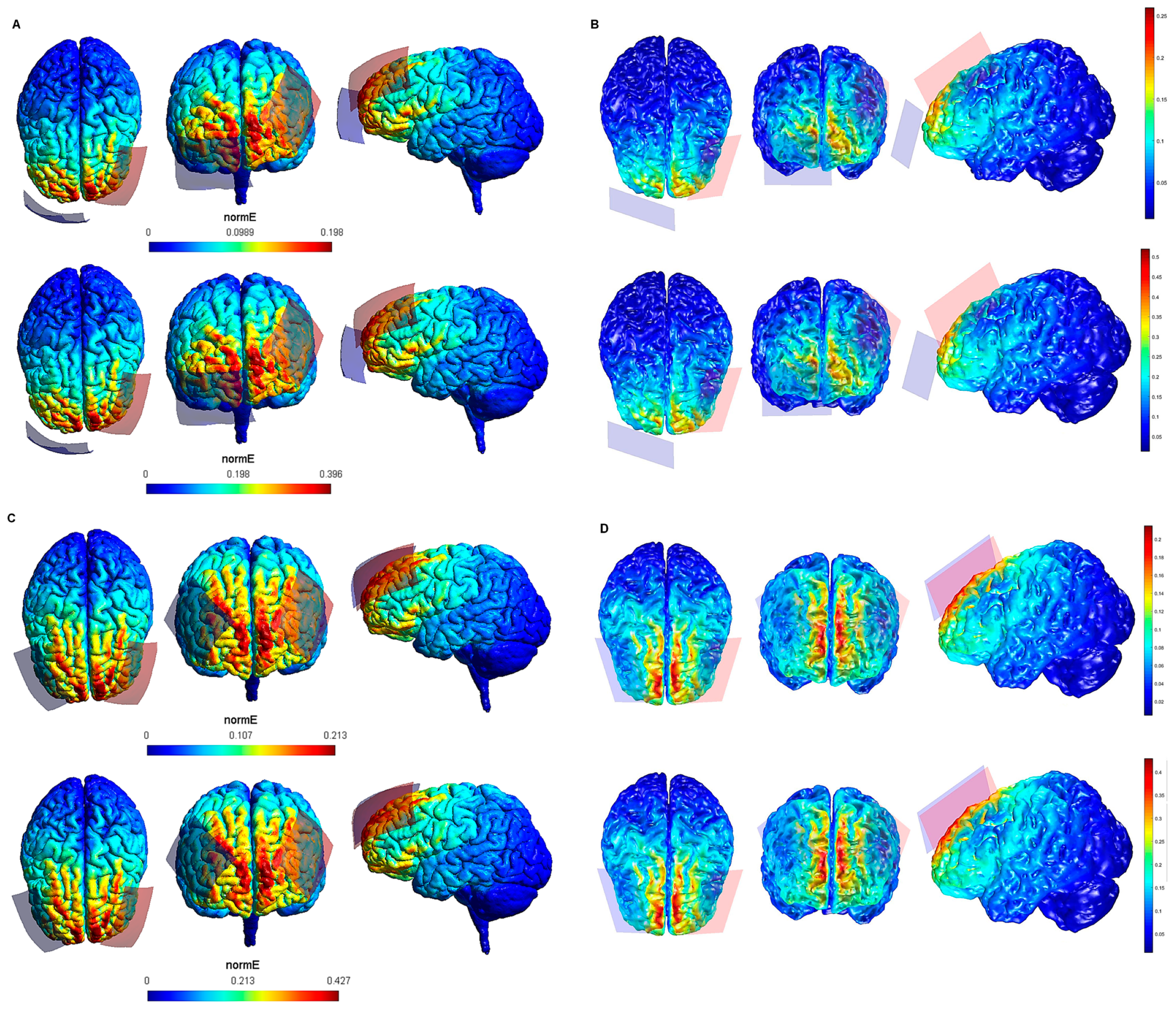Biology 10 01230 g004