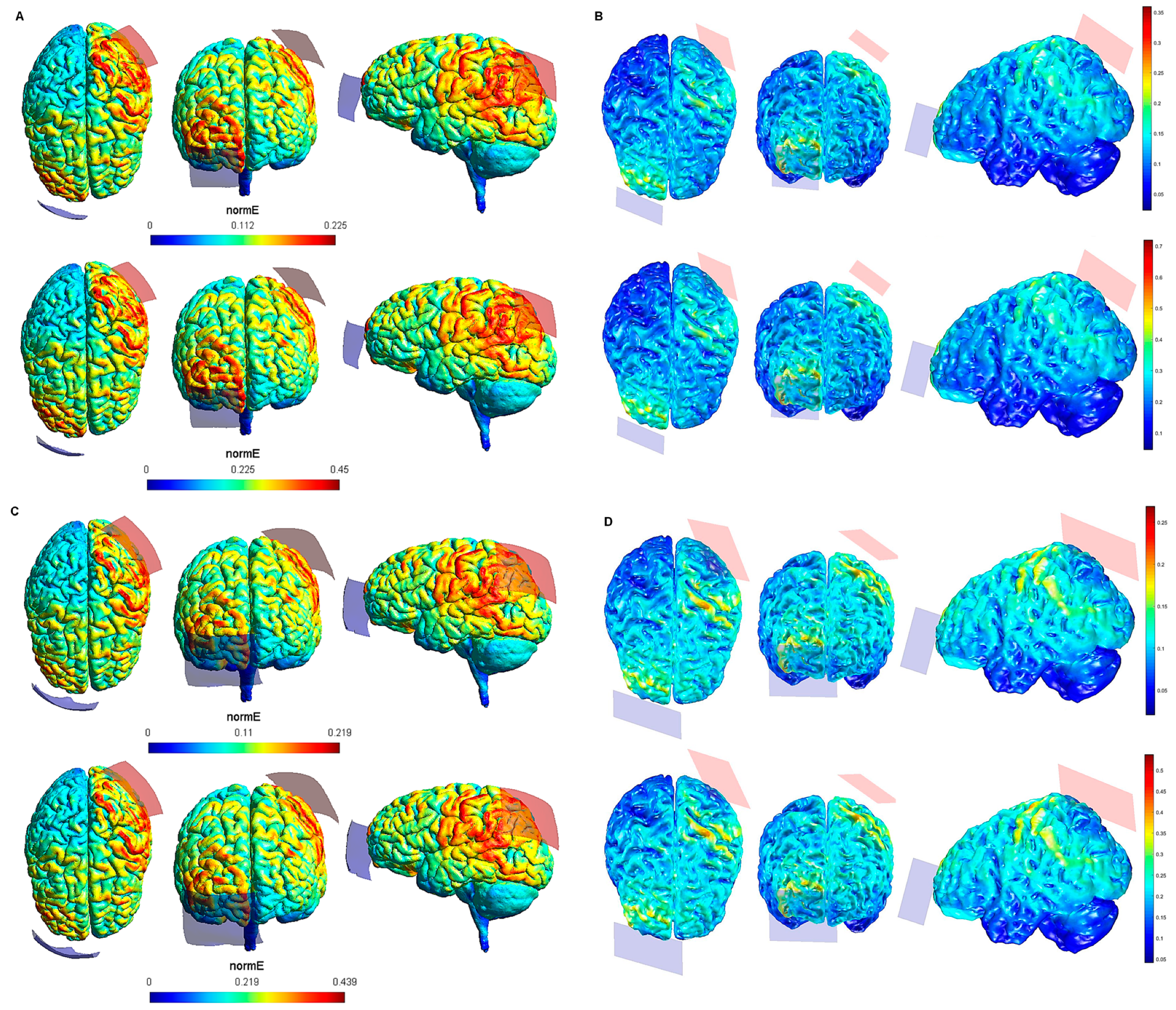 Biology 10 01230 g005