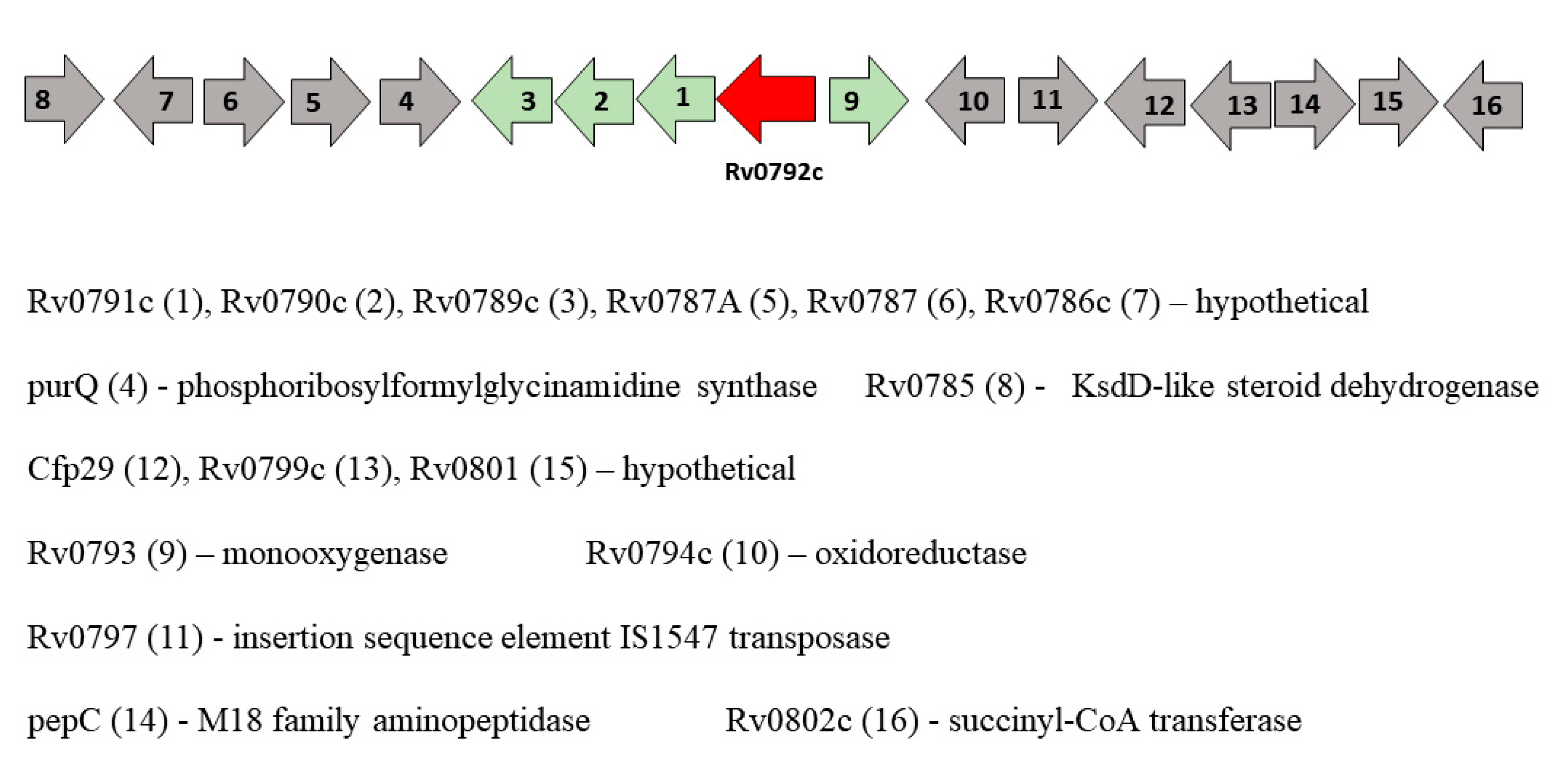 Biology 10 01241 g003 Biology 10 01241 g003