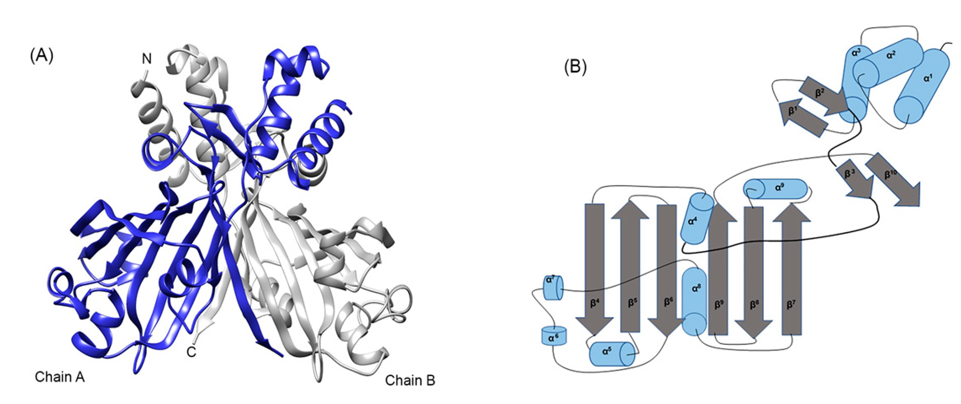Biology 10 01241 g004 Biology 10 01241 g004