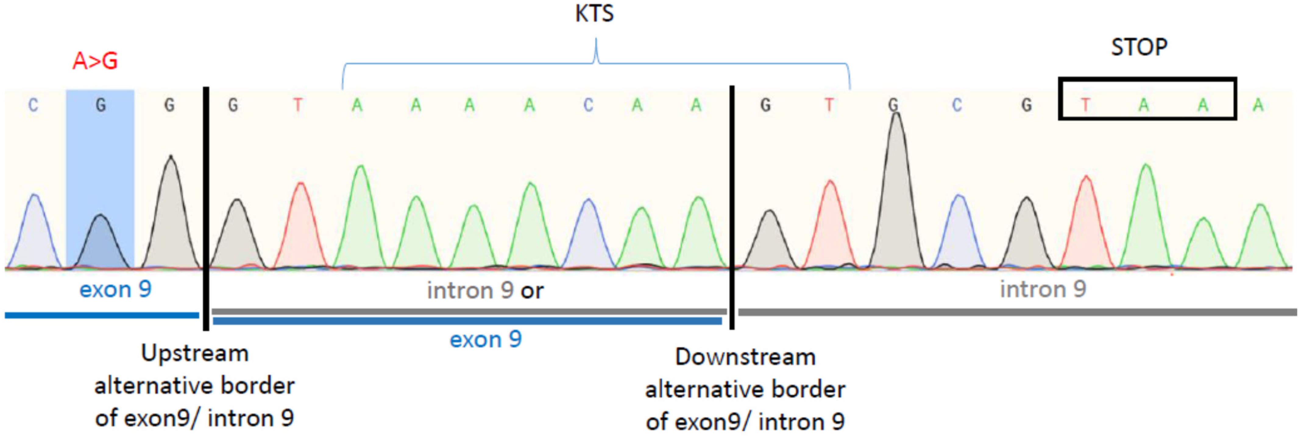 Biology 10 01248 g003