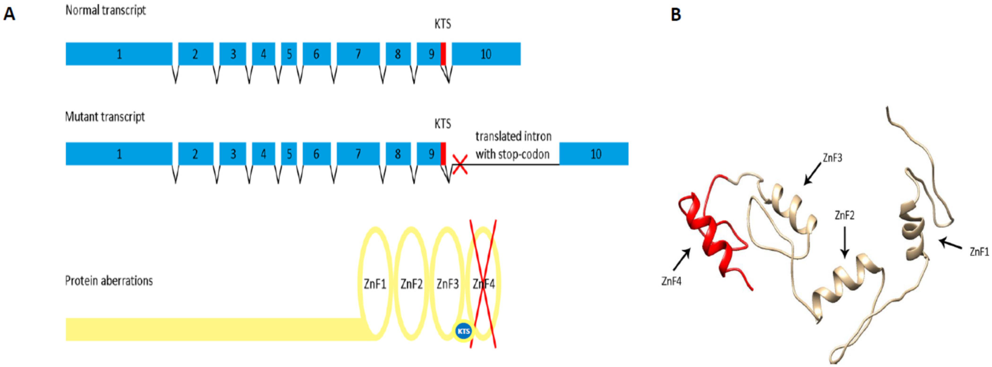 Biology 10 01248 g004