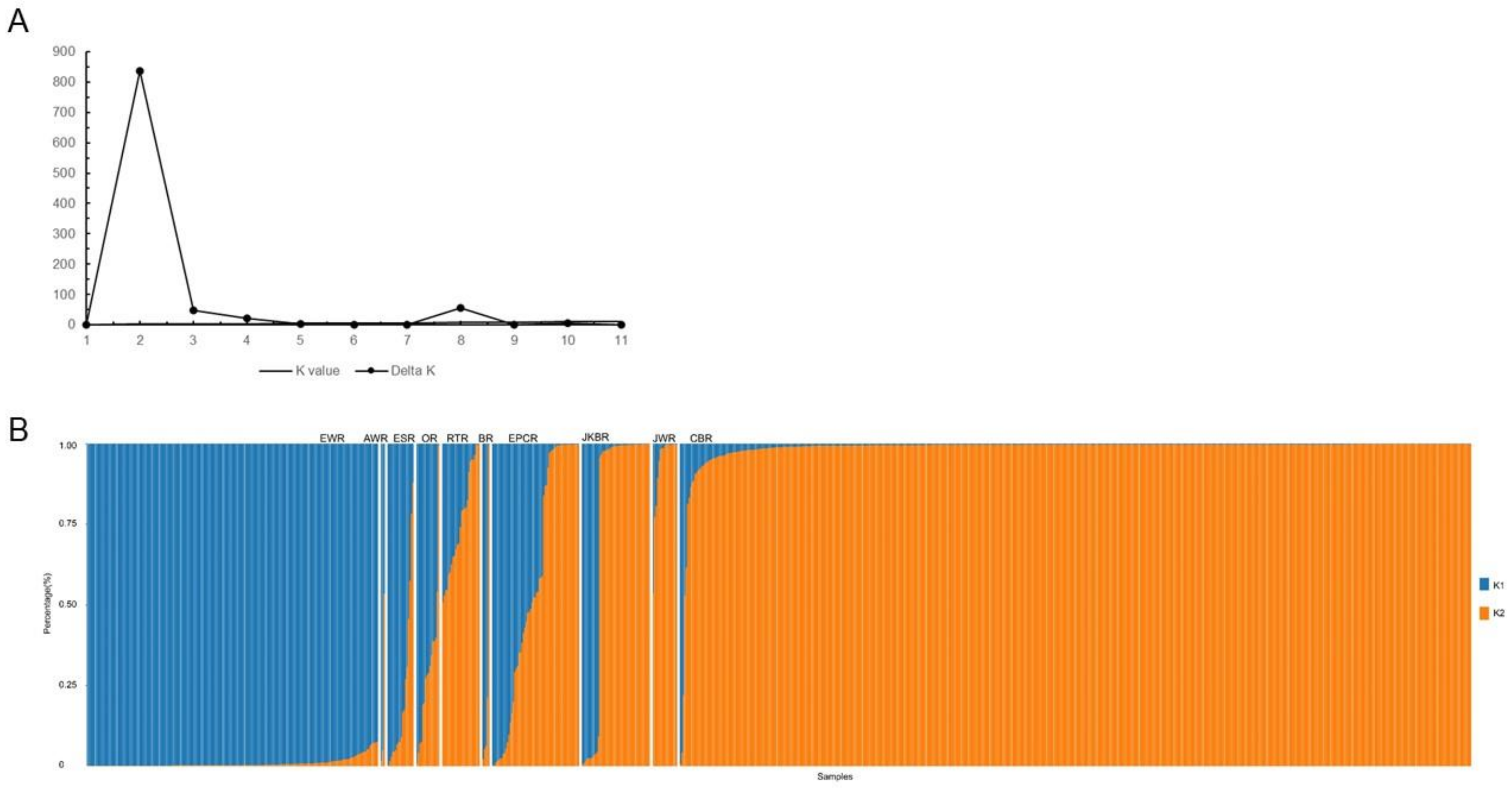 Biology 10 01250 g001 Biology 10 01250 g001