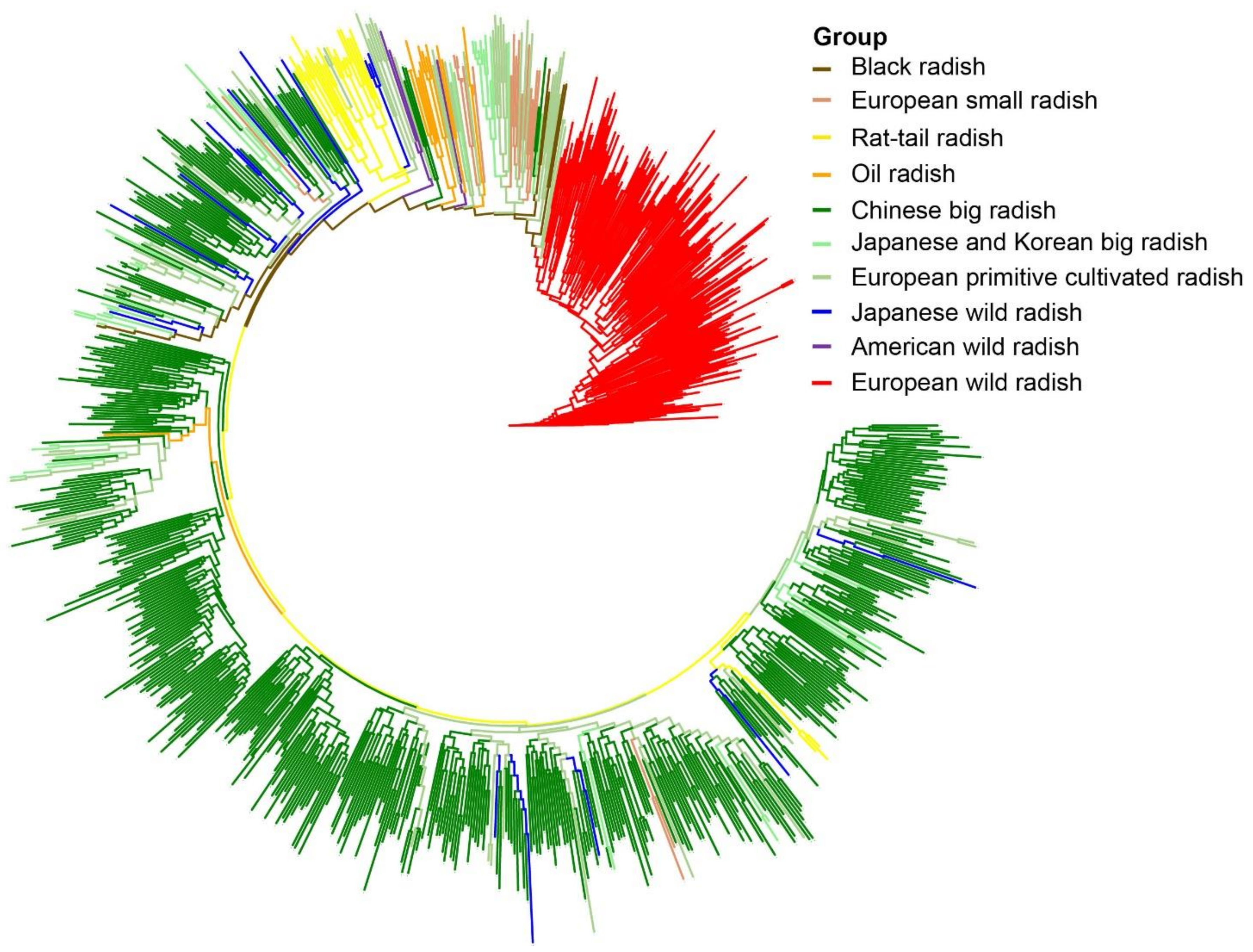 Biology 10 01250 g002 Biology 10 01250 g002