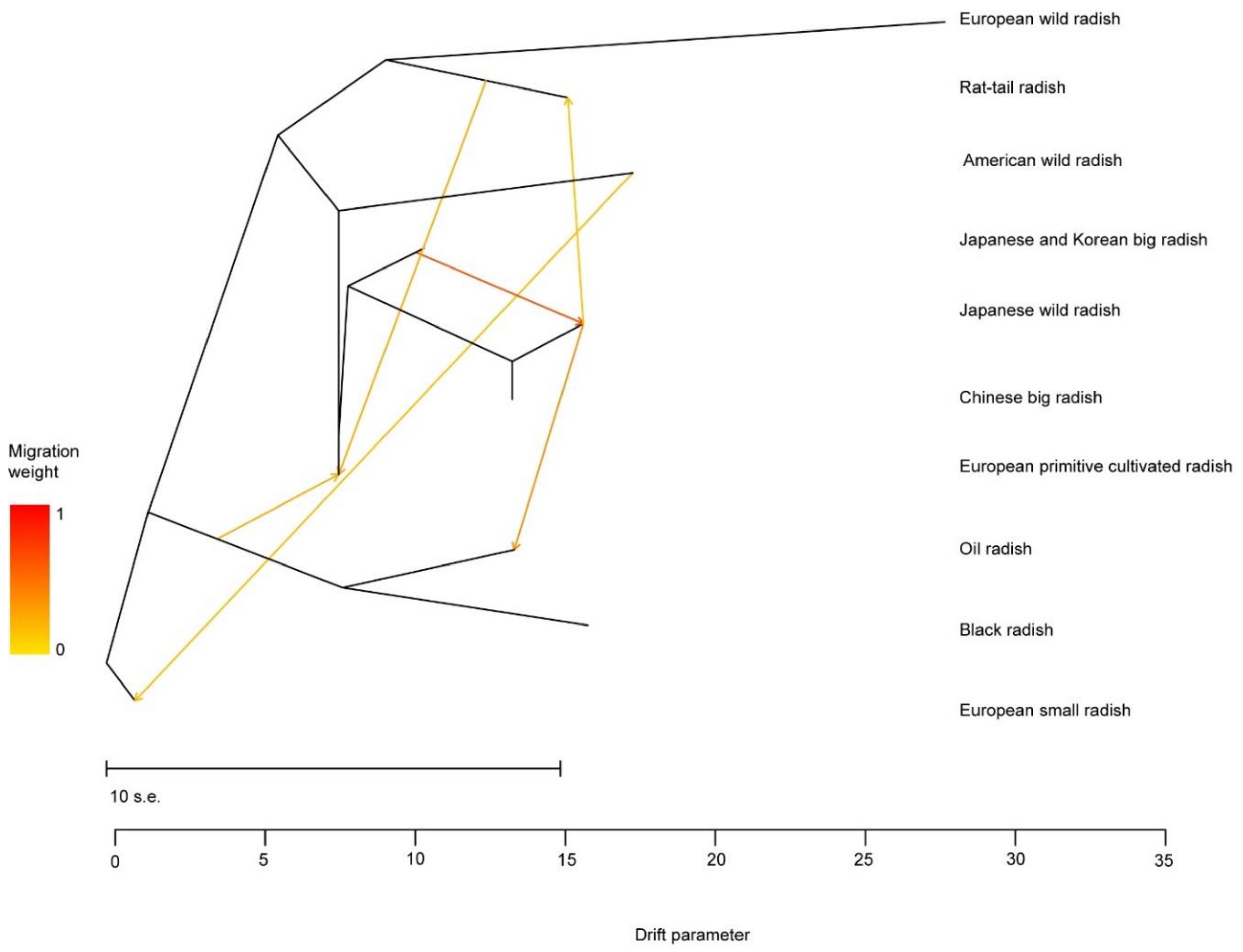Biology 10 01250 g004 Biology 10 01250 g004