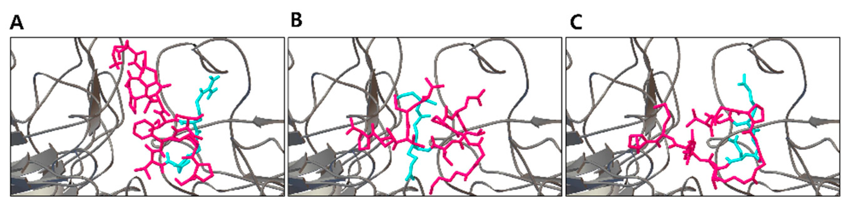 Biology 10 01254 g001