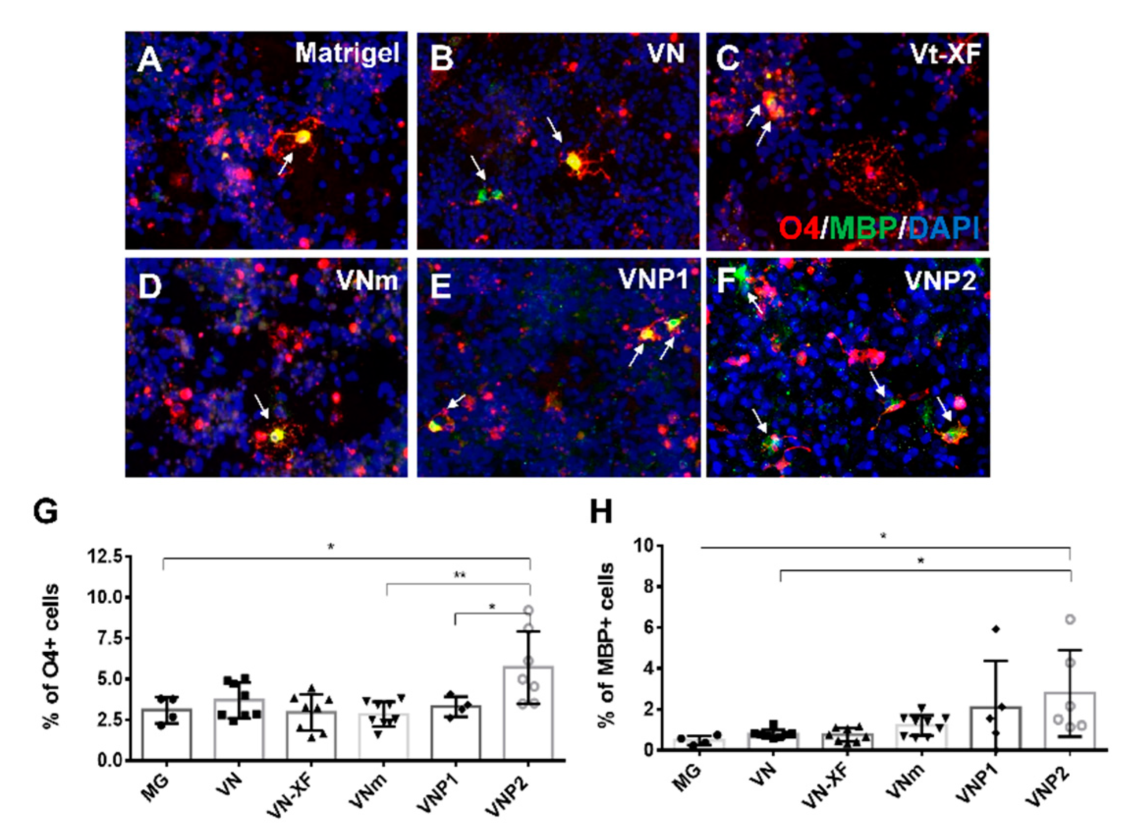 Biology 10 01254 g004