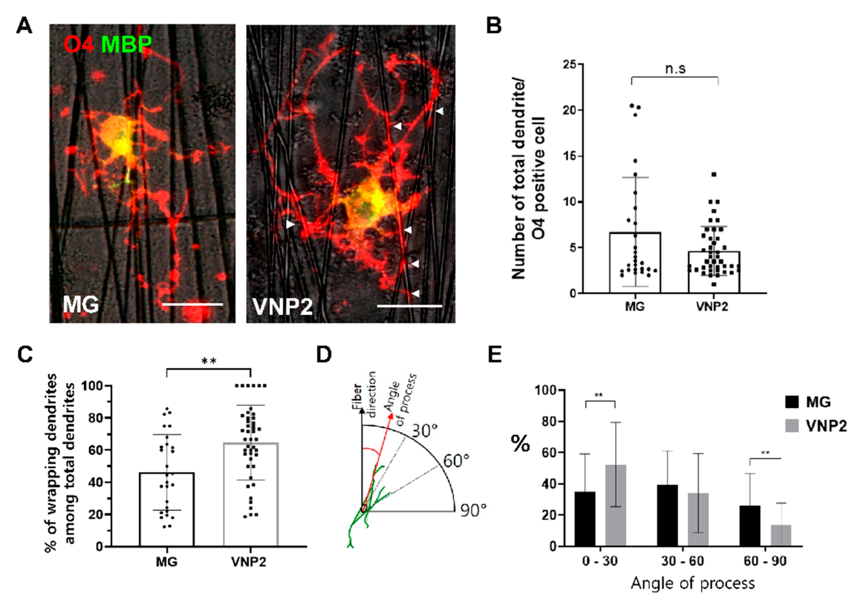 Biology 10 01254 g005