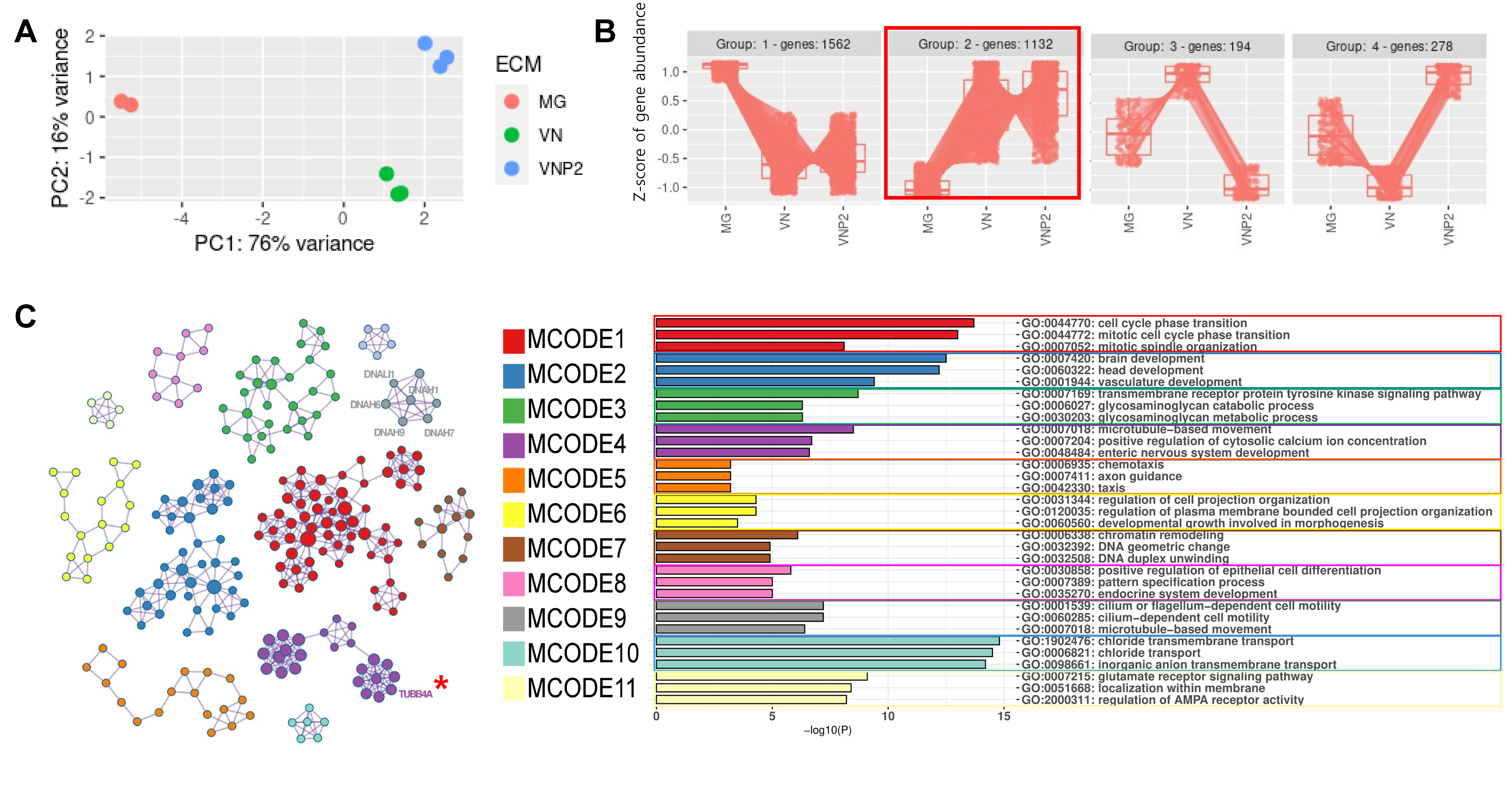 Biology 10 01254 g006