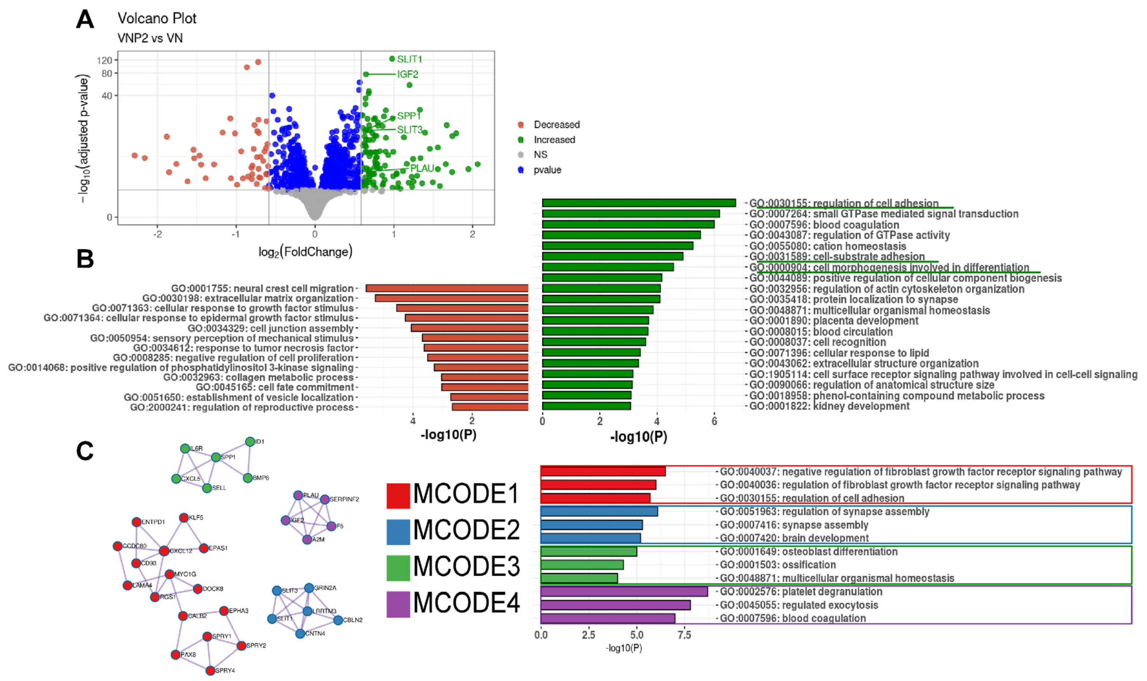 Biology 10 01254 g007
