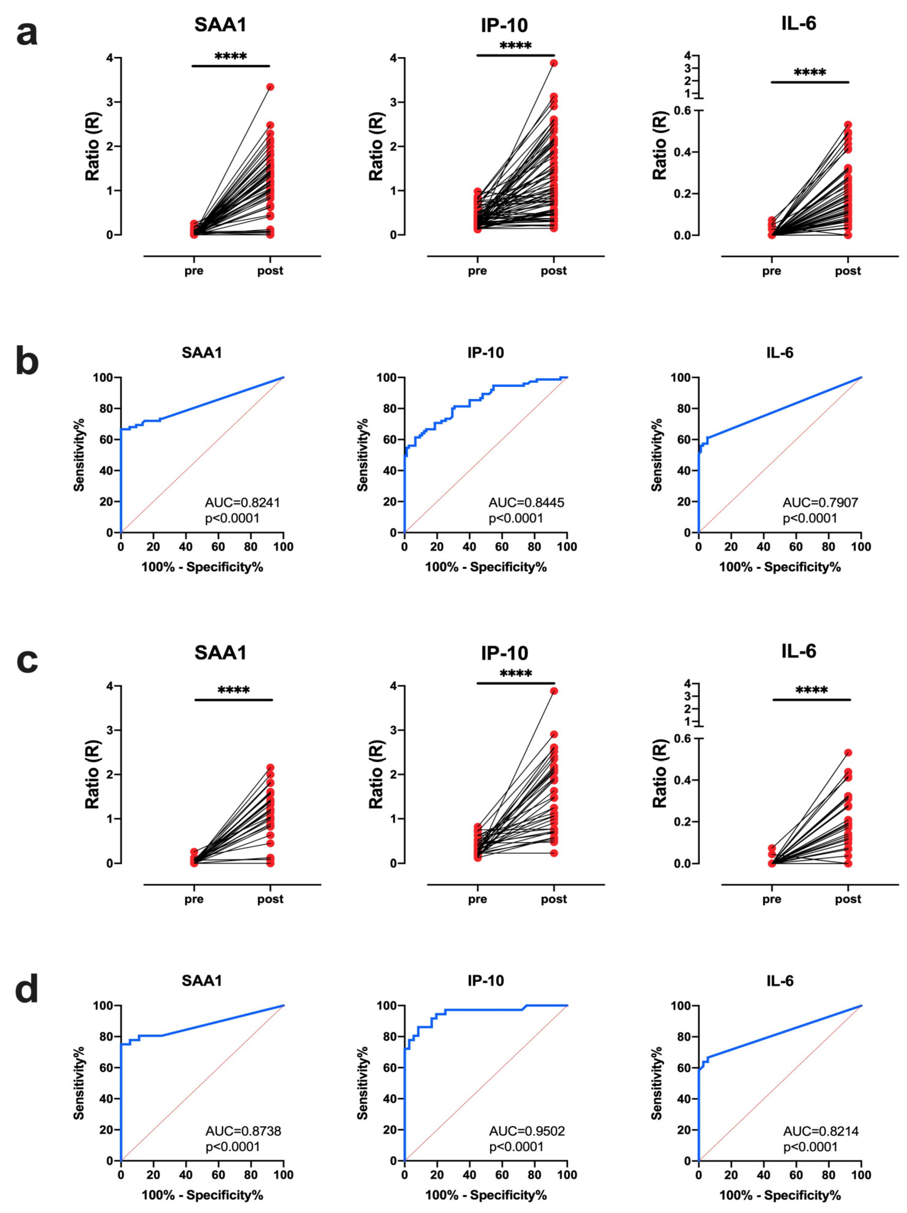 Biology 10 01260 g001