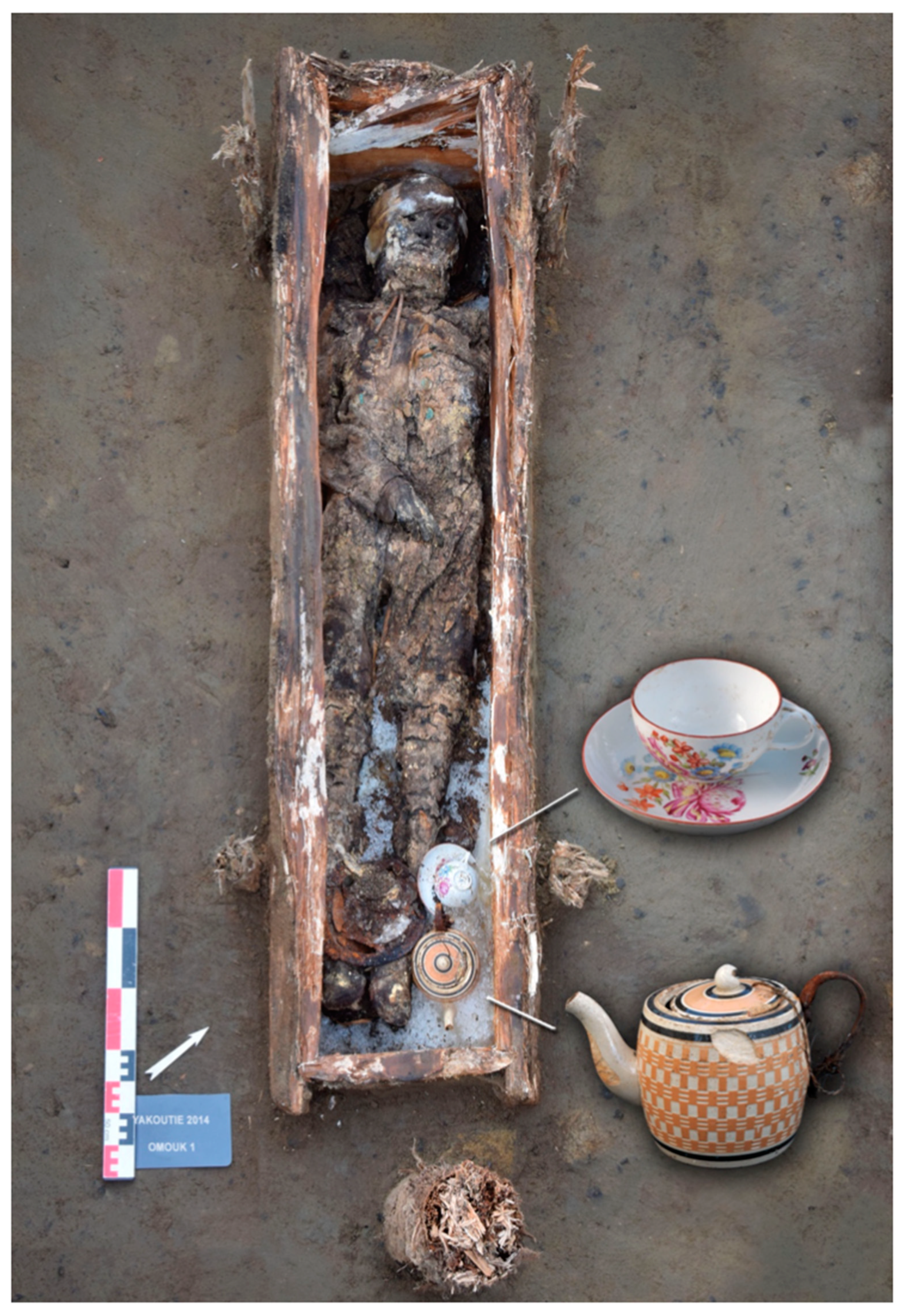 Biology 10 01271 g002