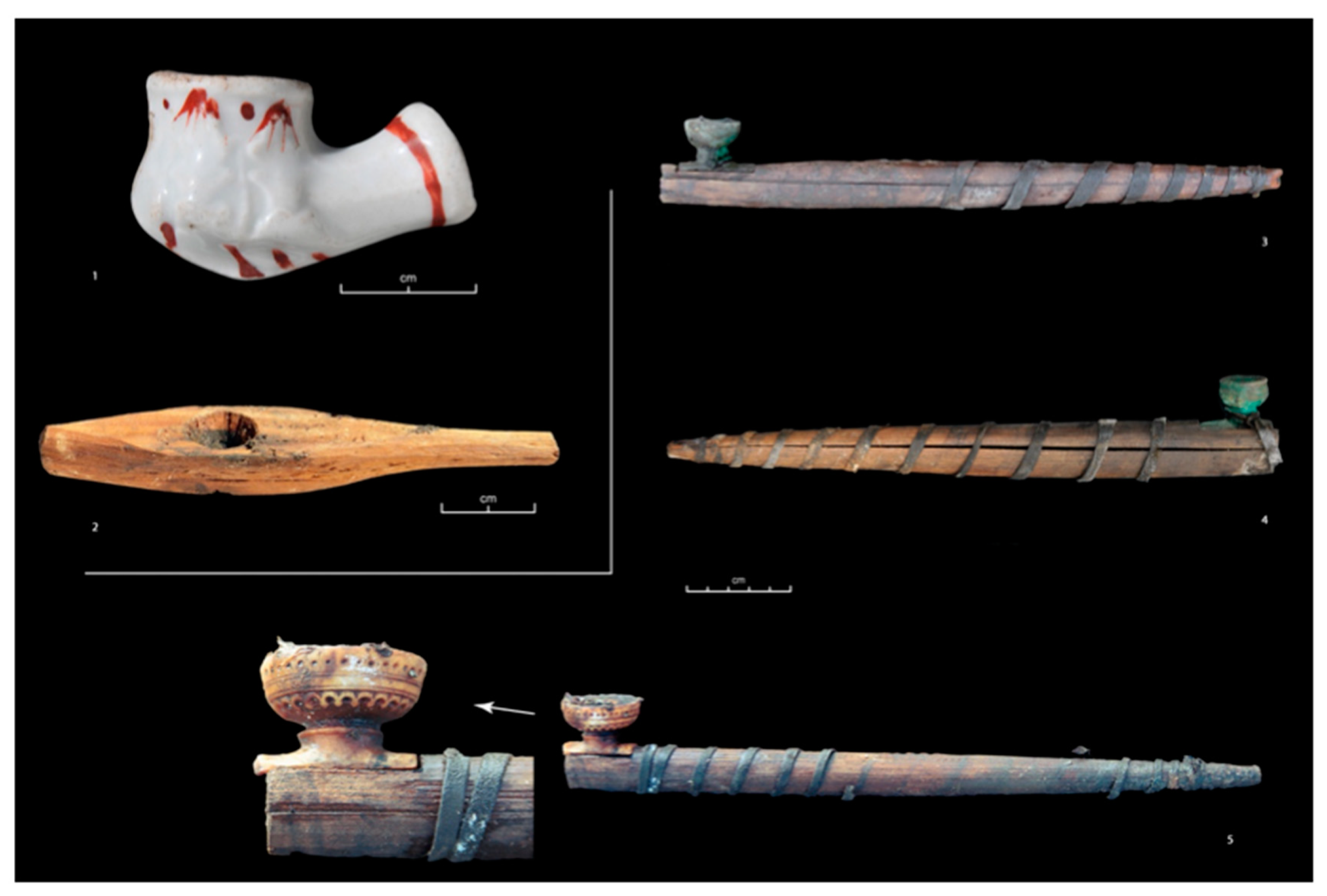 Biology 10 01271 g007