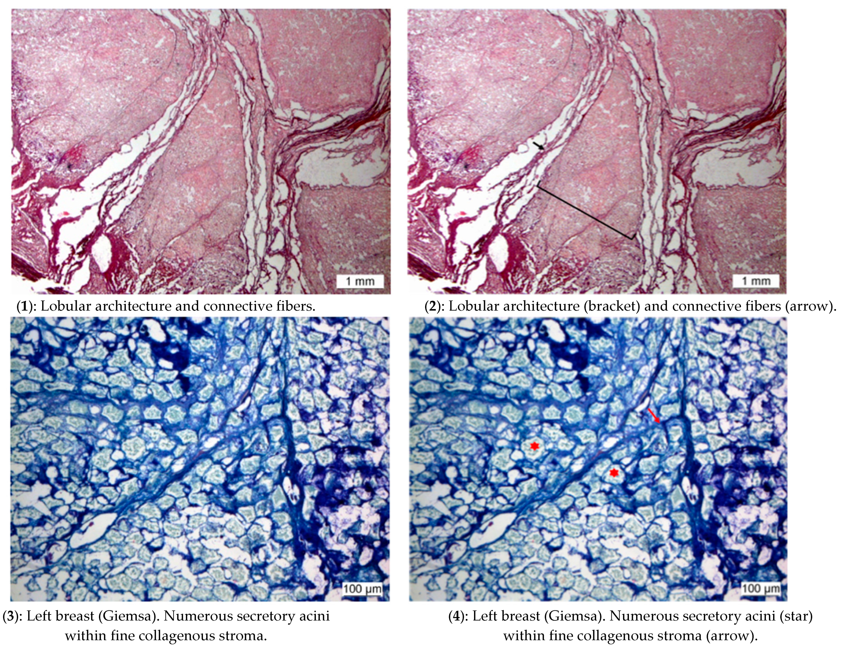 Biology 10 01271 g008a