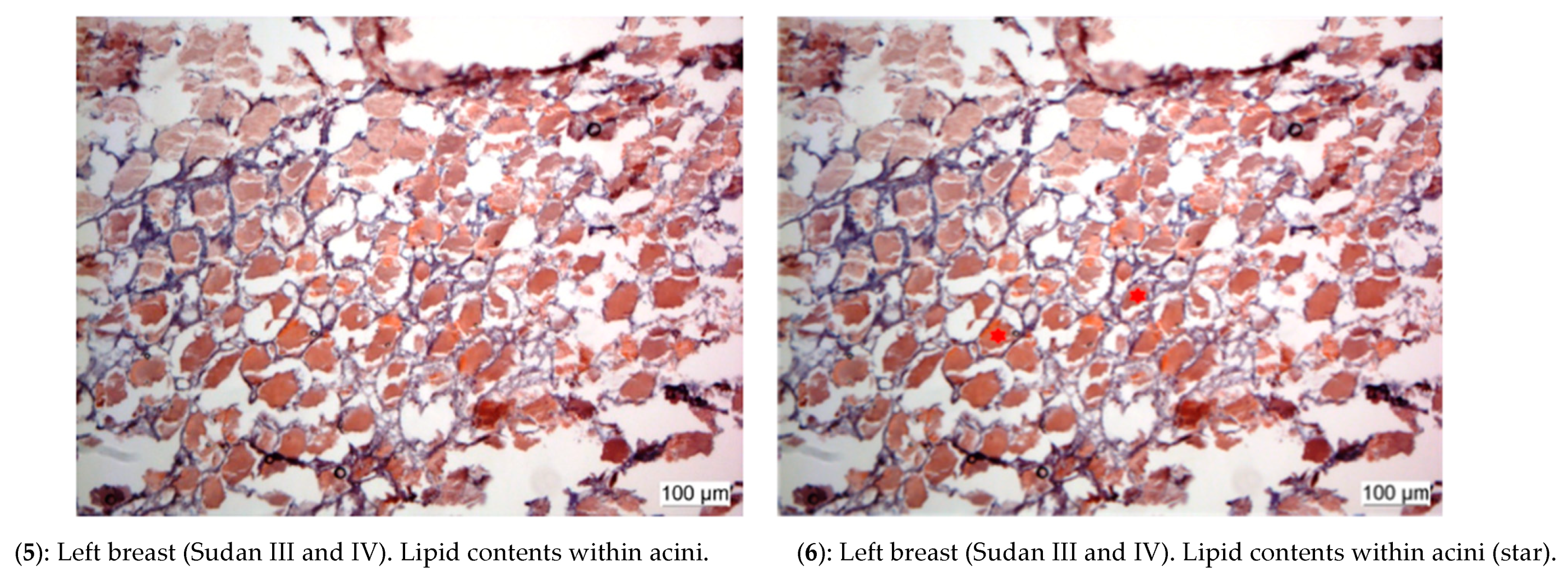 Biology 10 01271 g008b