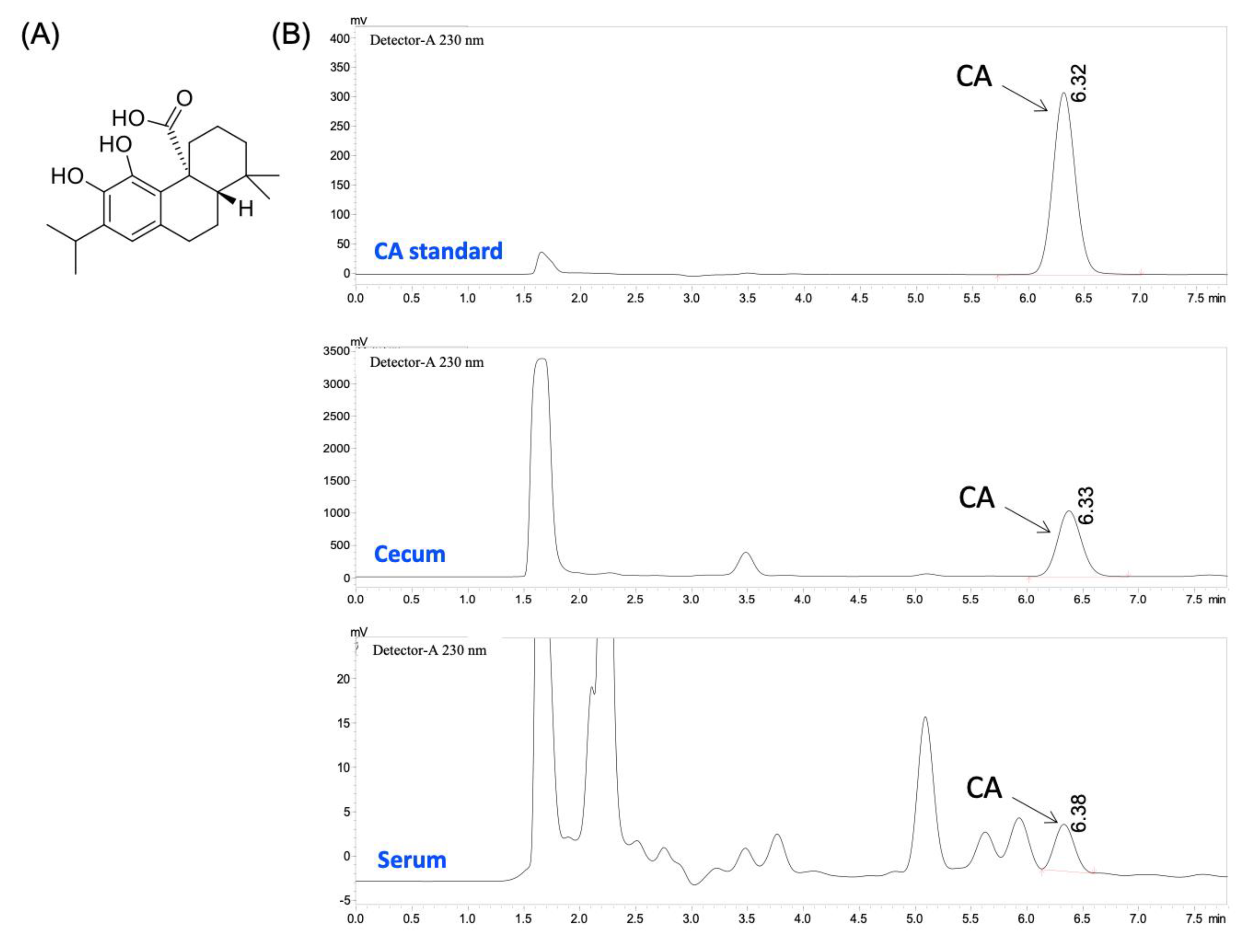 Biology 10 01278 g001
