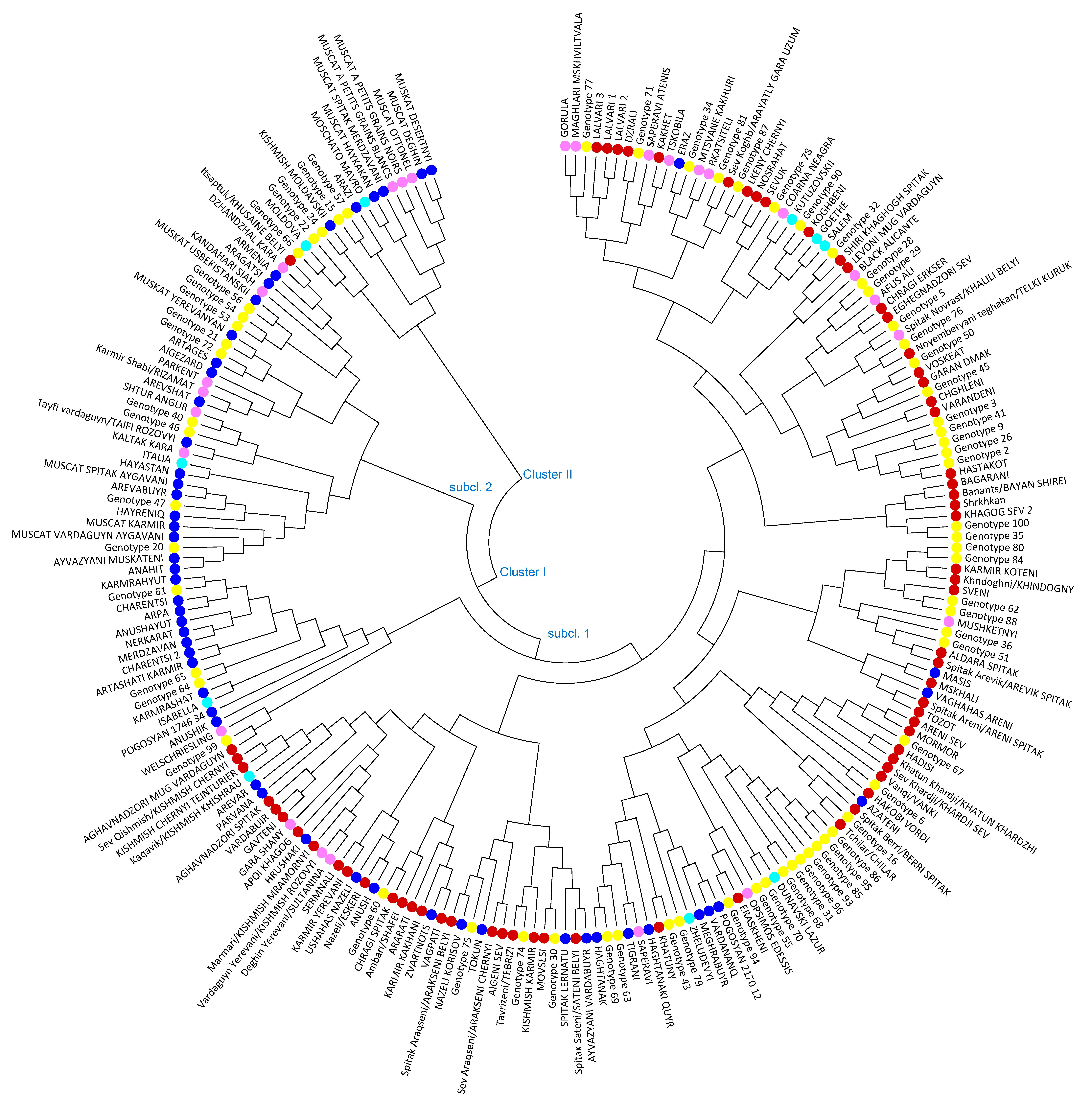 Biology 10 01279 g002