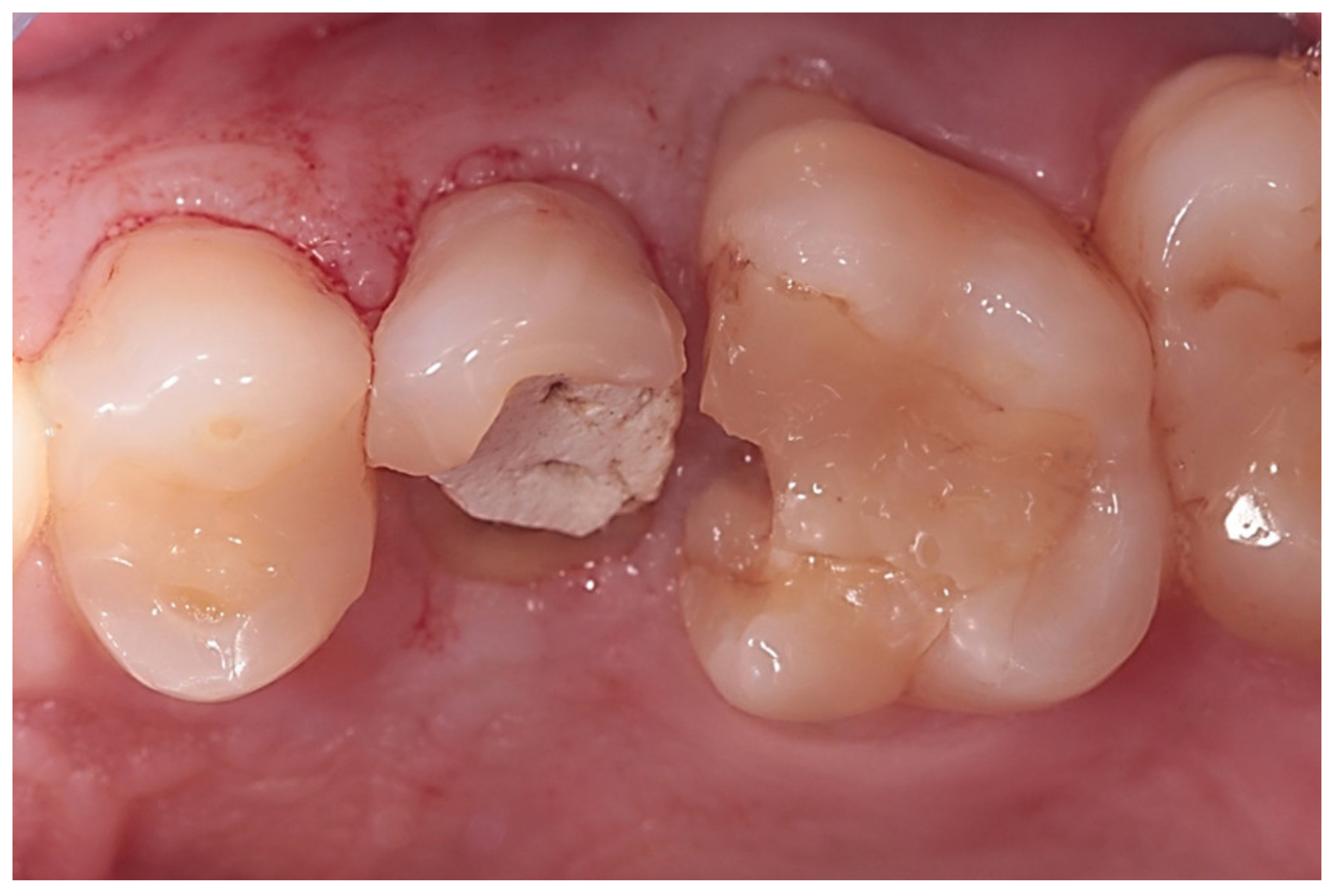 Biology 10 01281 g002