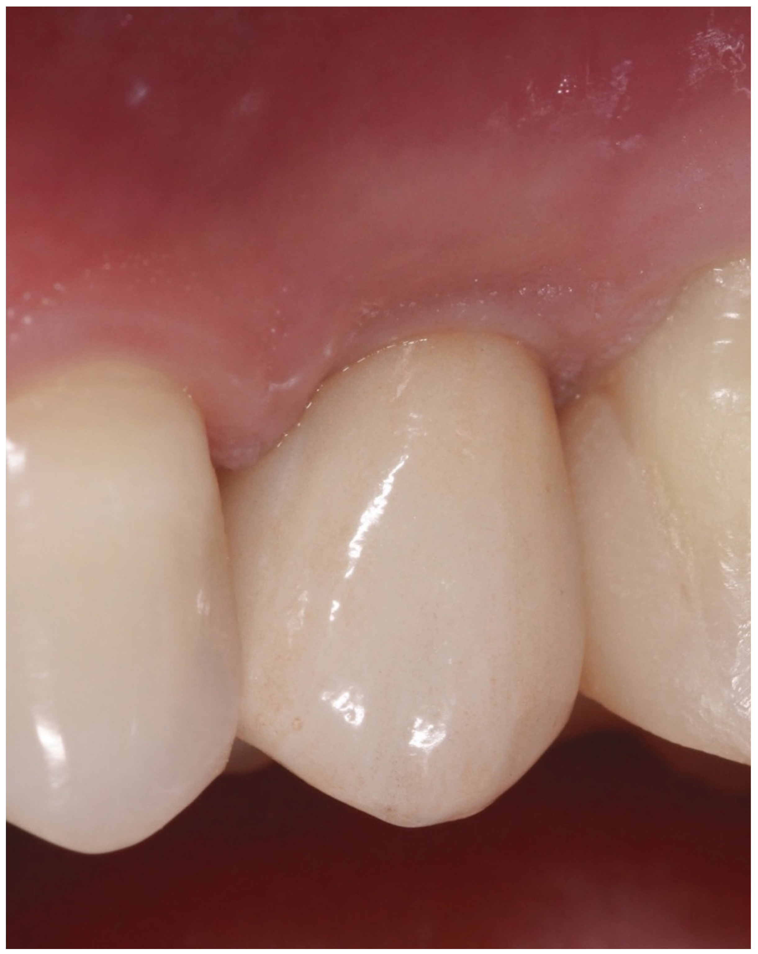 Biology 10 01281 g003