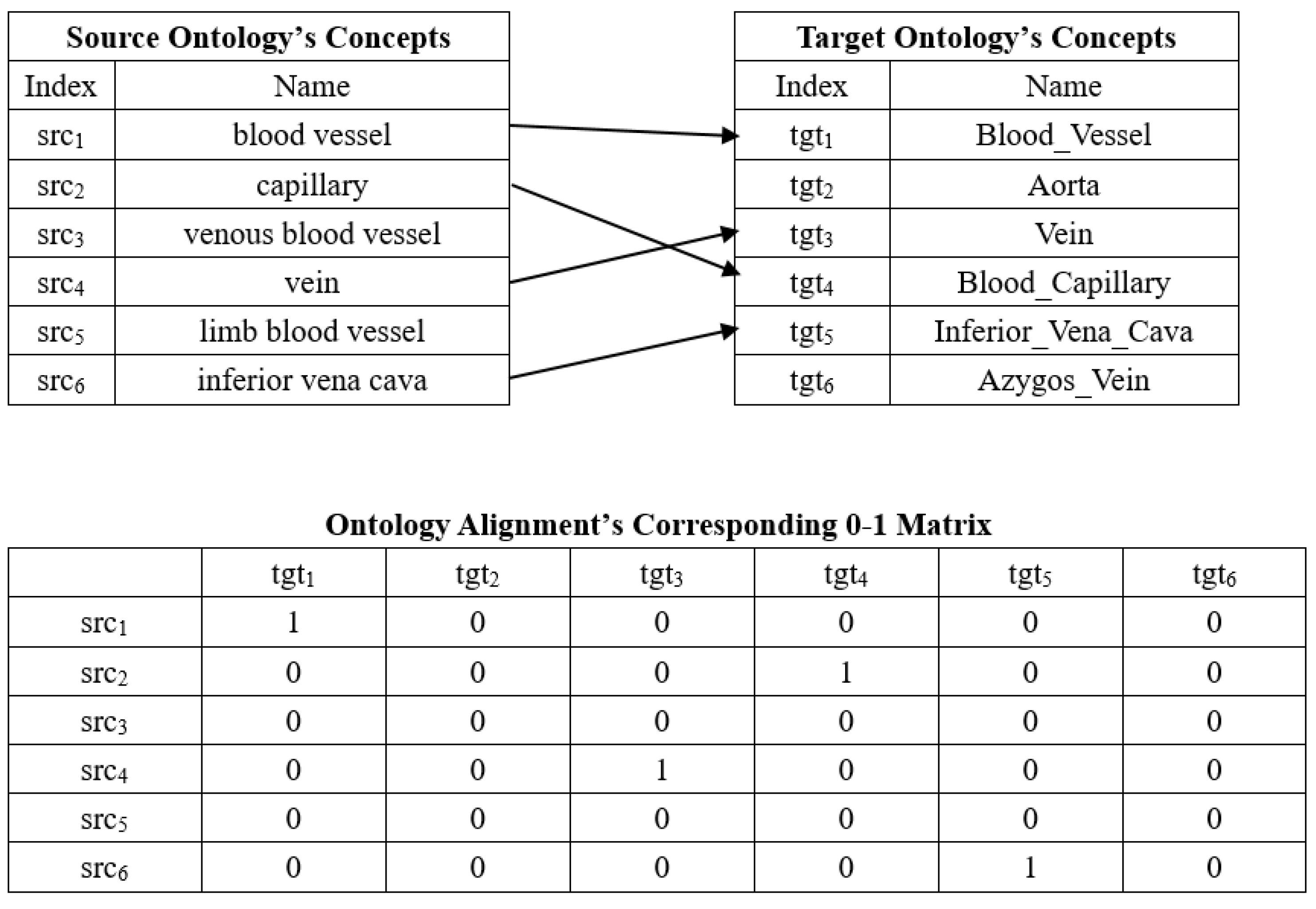 Biology 10 01287 g001