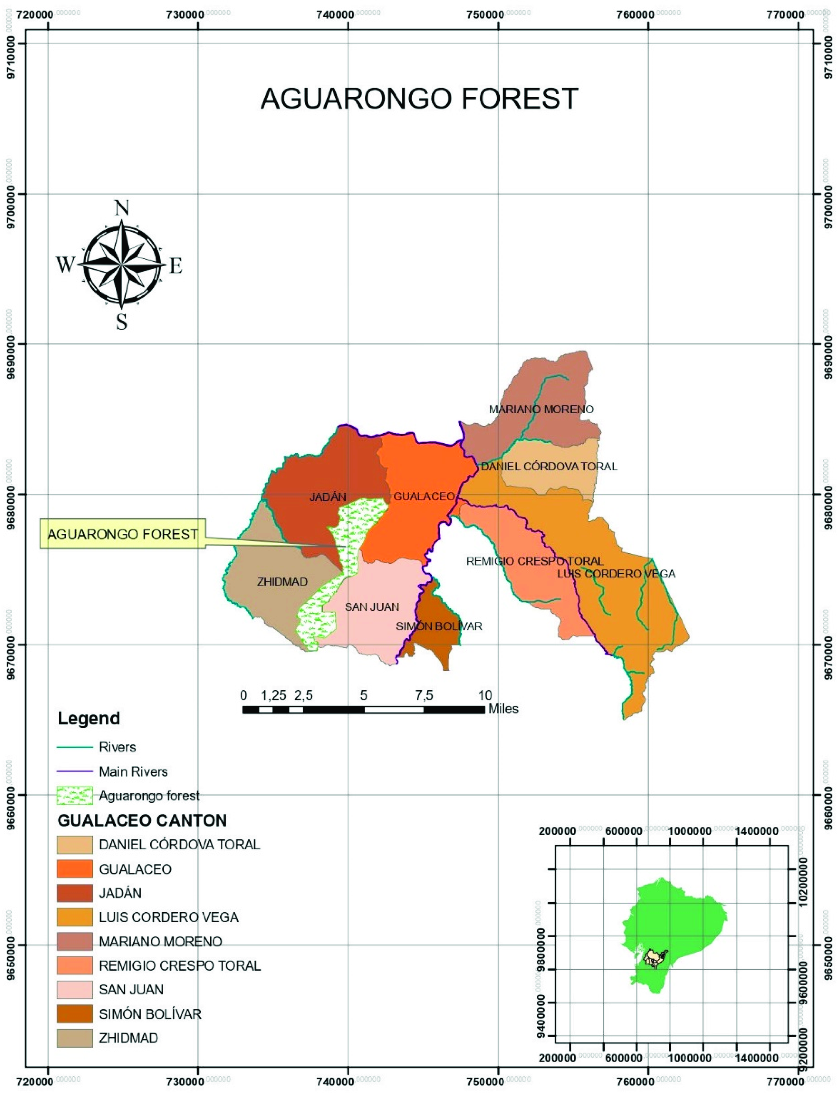 Biology 10 01289 g001