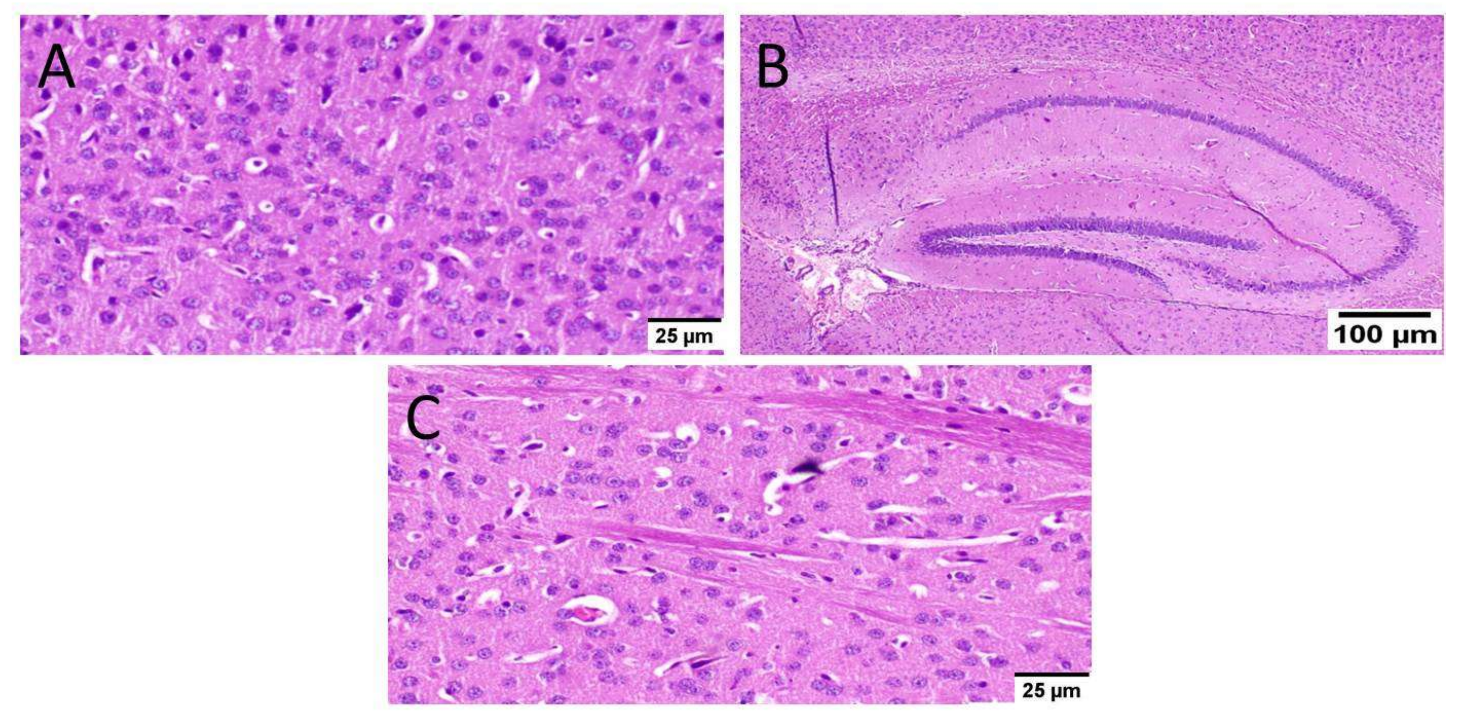 Biology 10 01298 g006