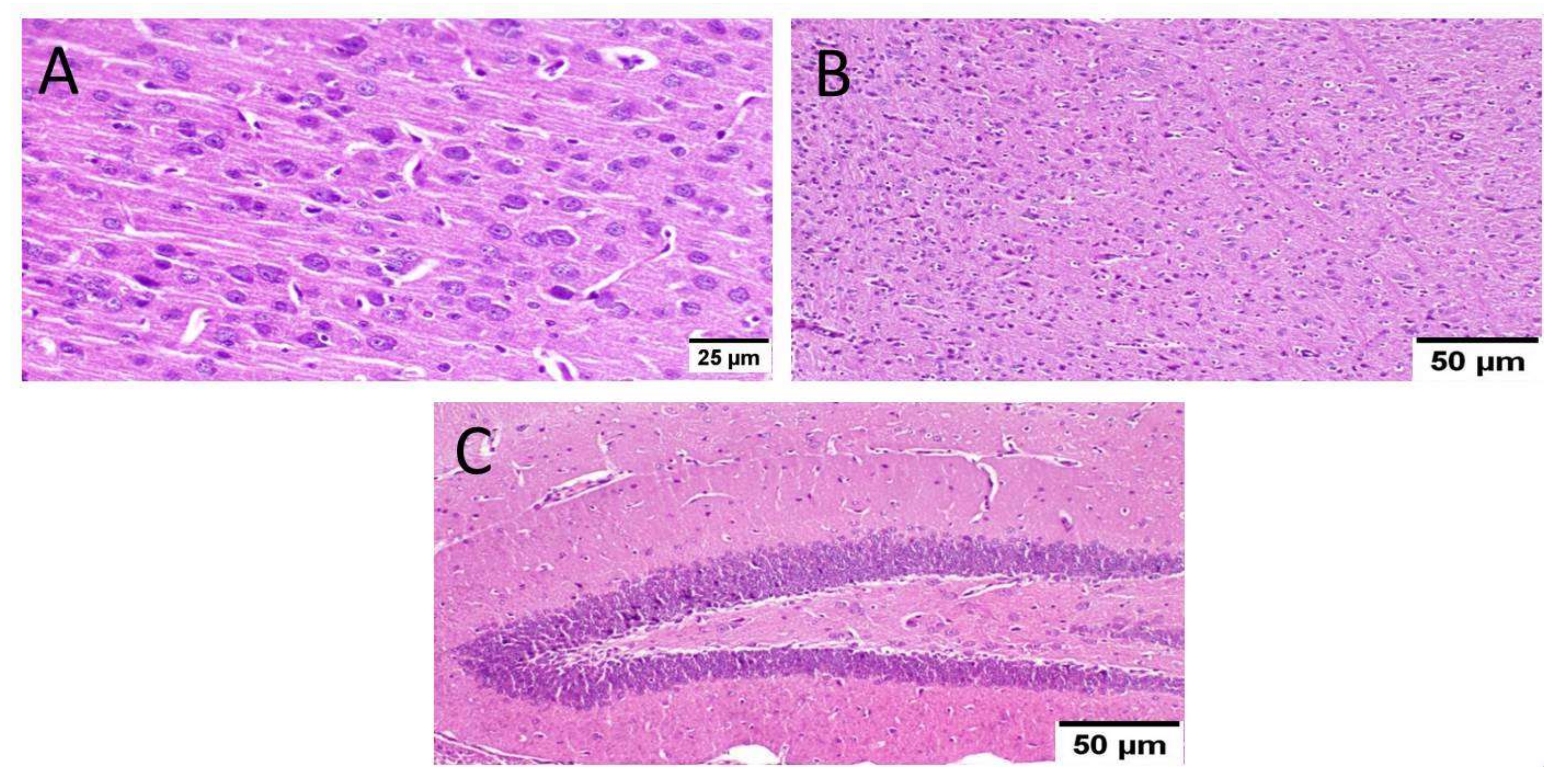 Biology 10 01298 g009