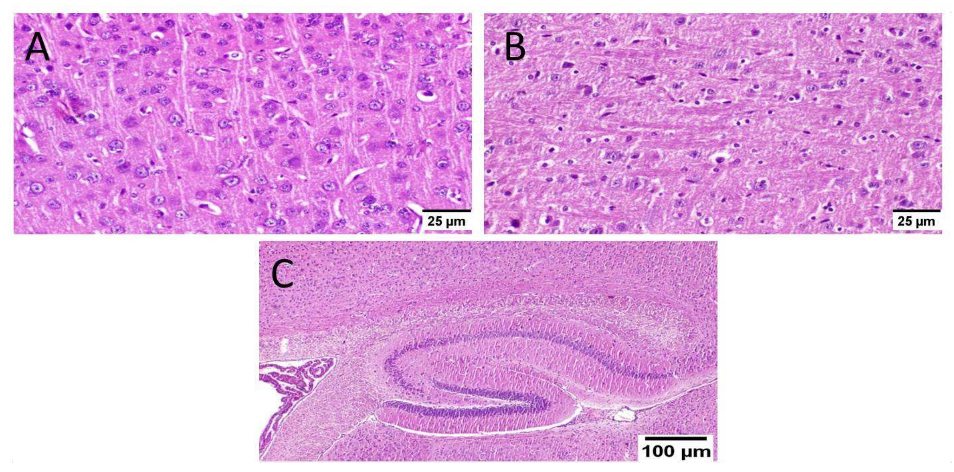 Biology 10 01298 g010
