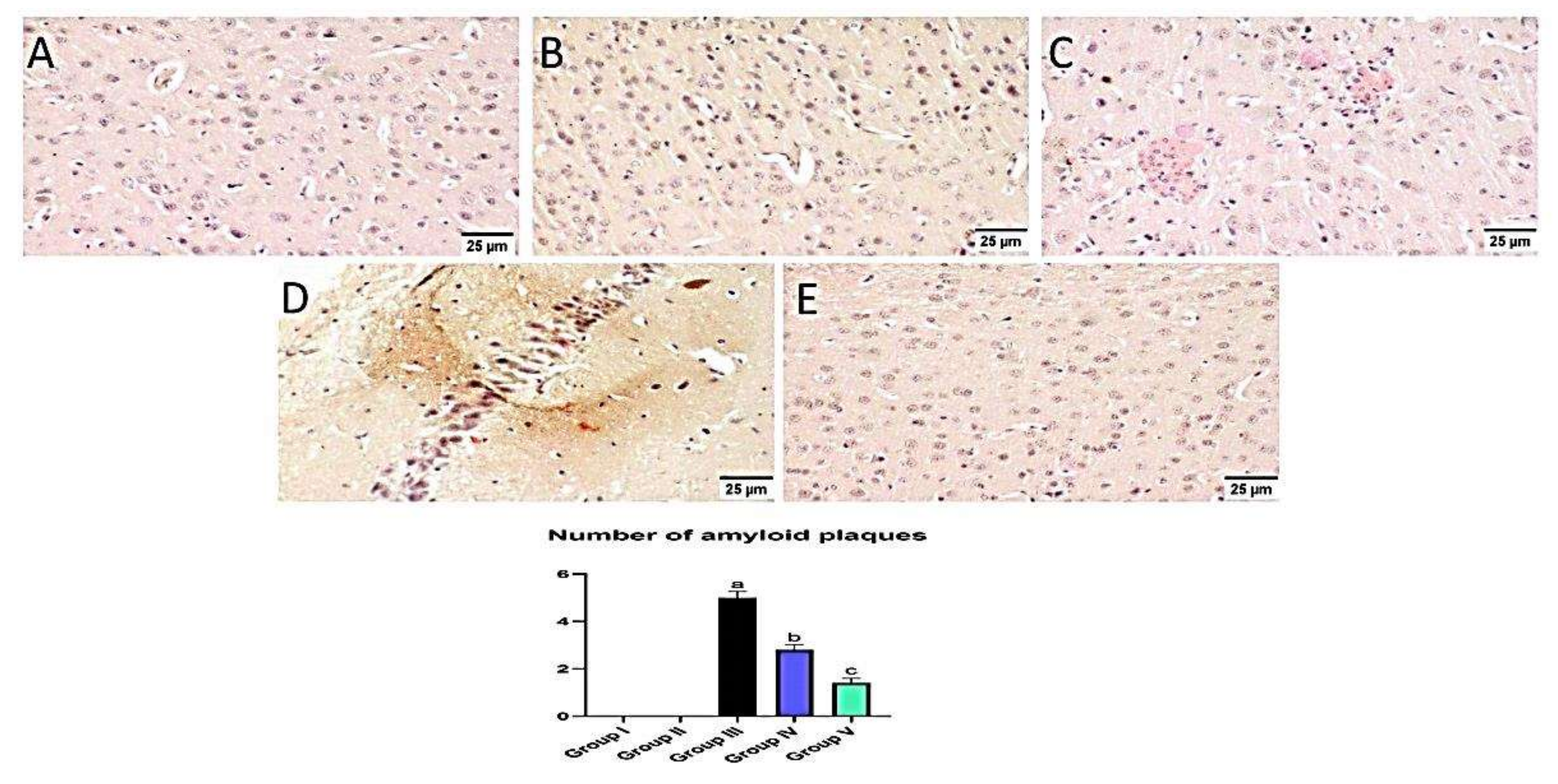 Biology 10 01298 g014