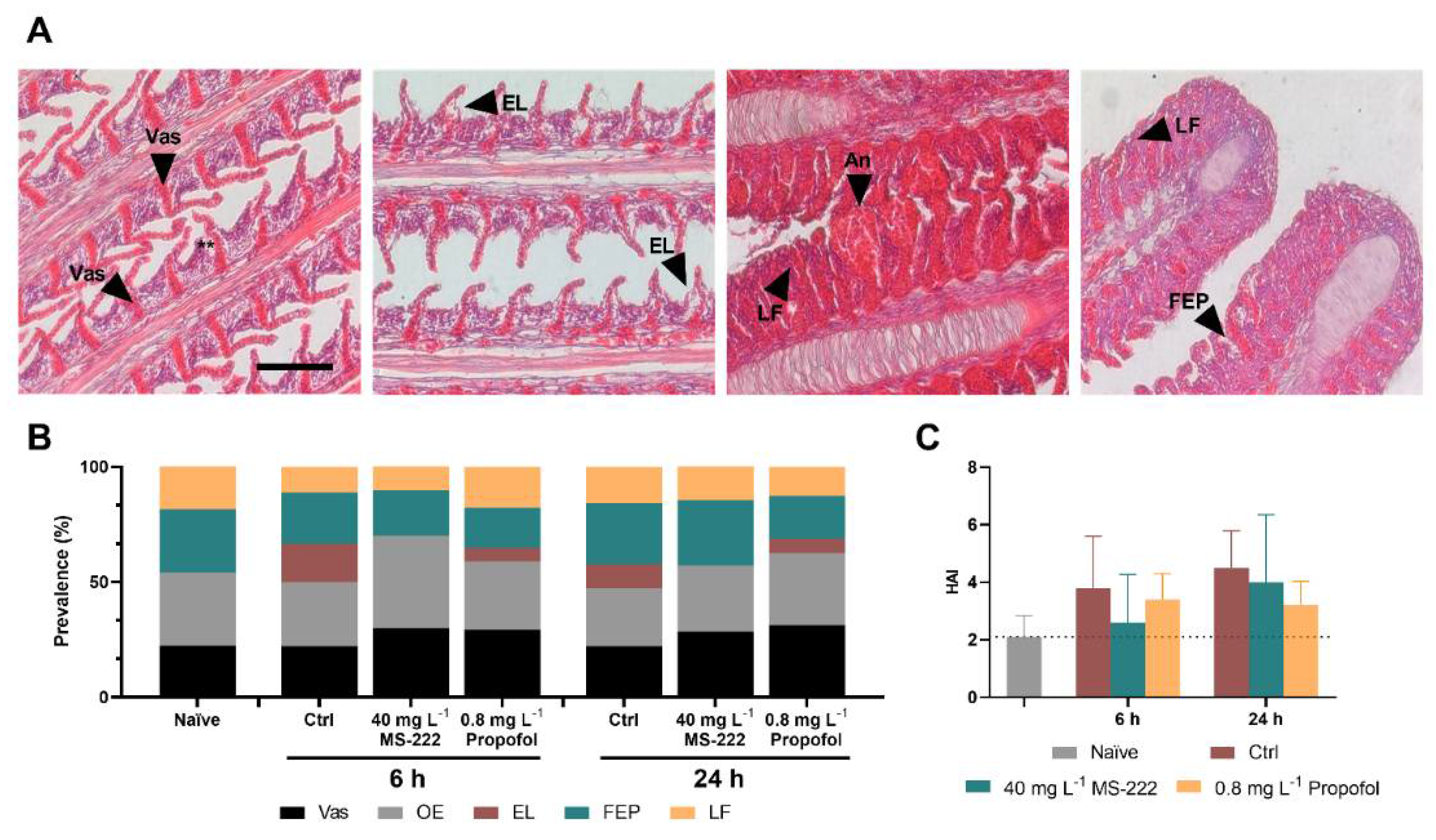 Biology 10 01309 g004