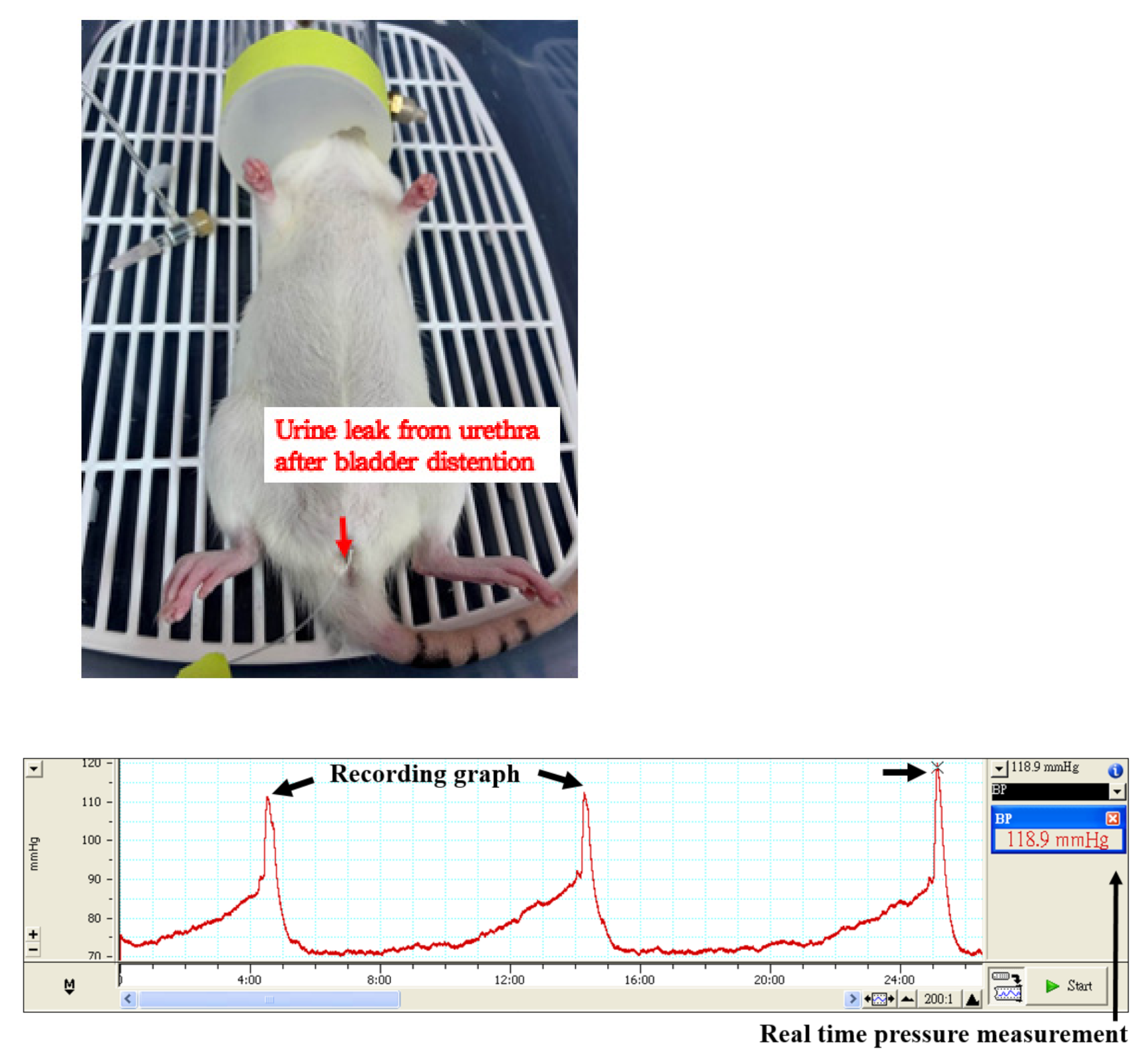 Biology 10 01316 g002