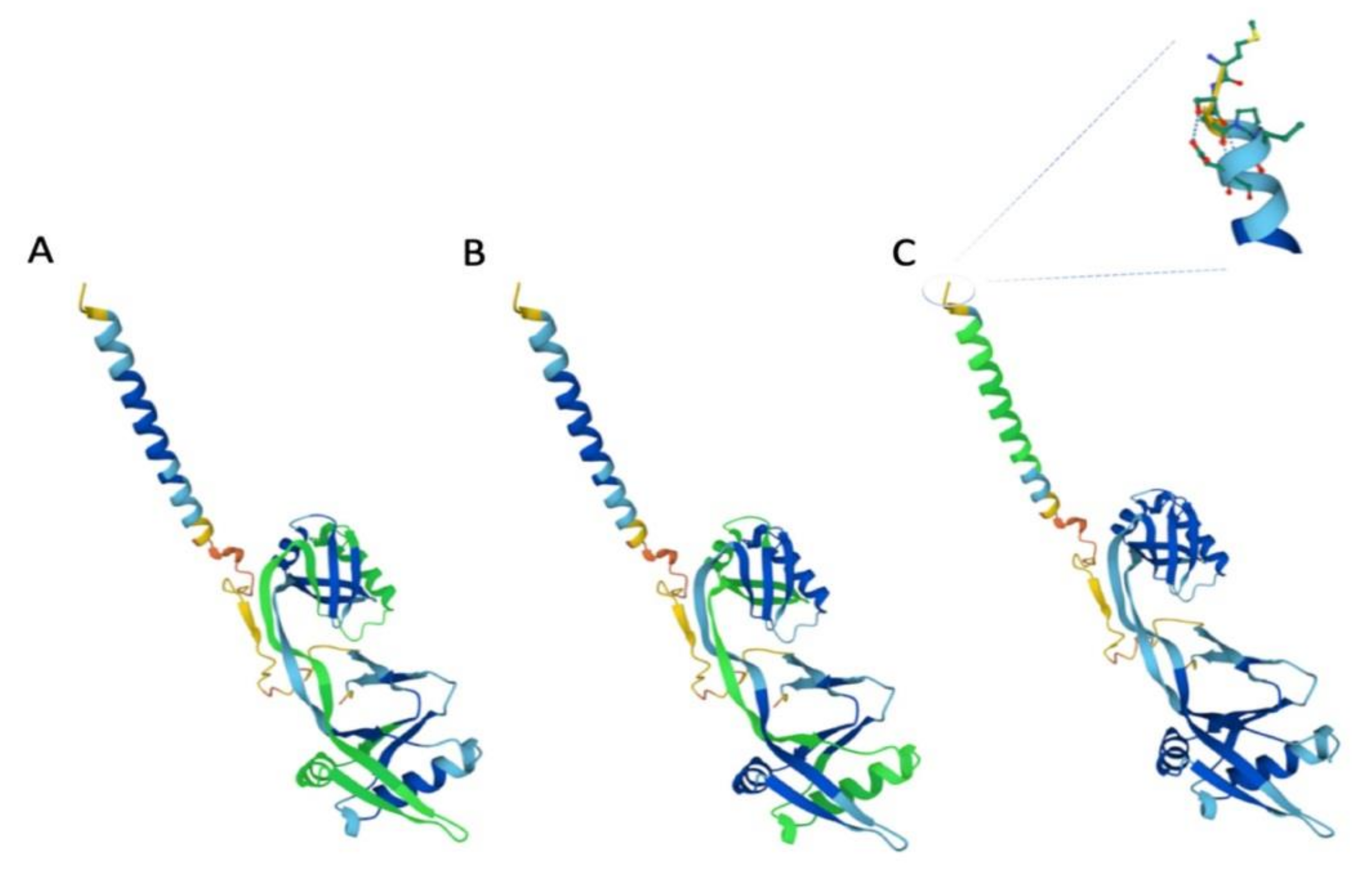Biology 10 01325 g001