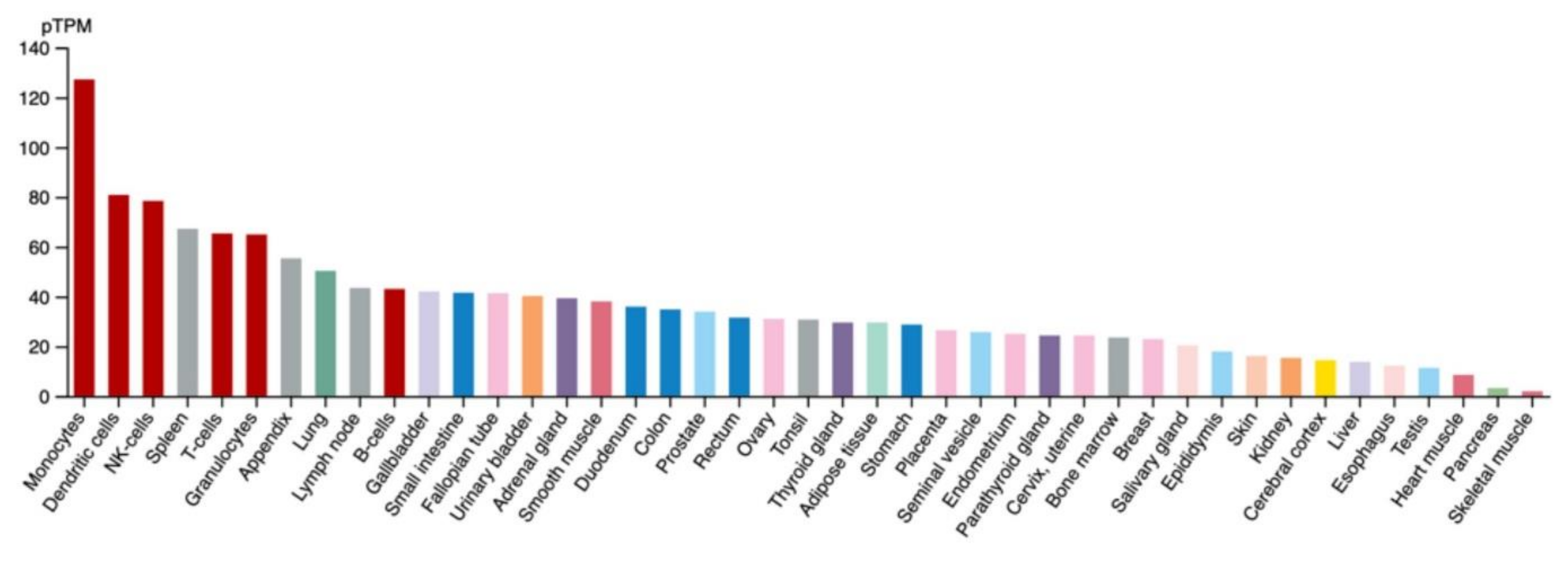 Biology 10 01325 g002