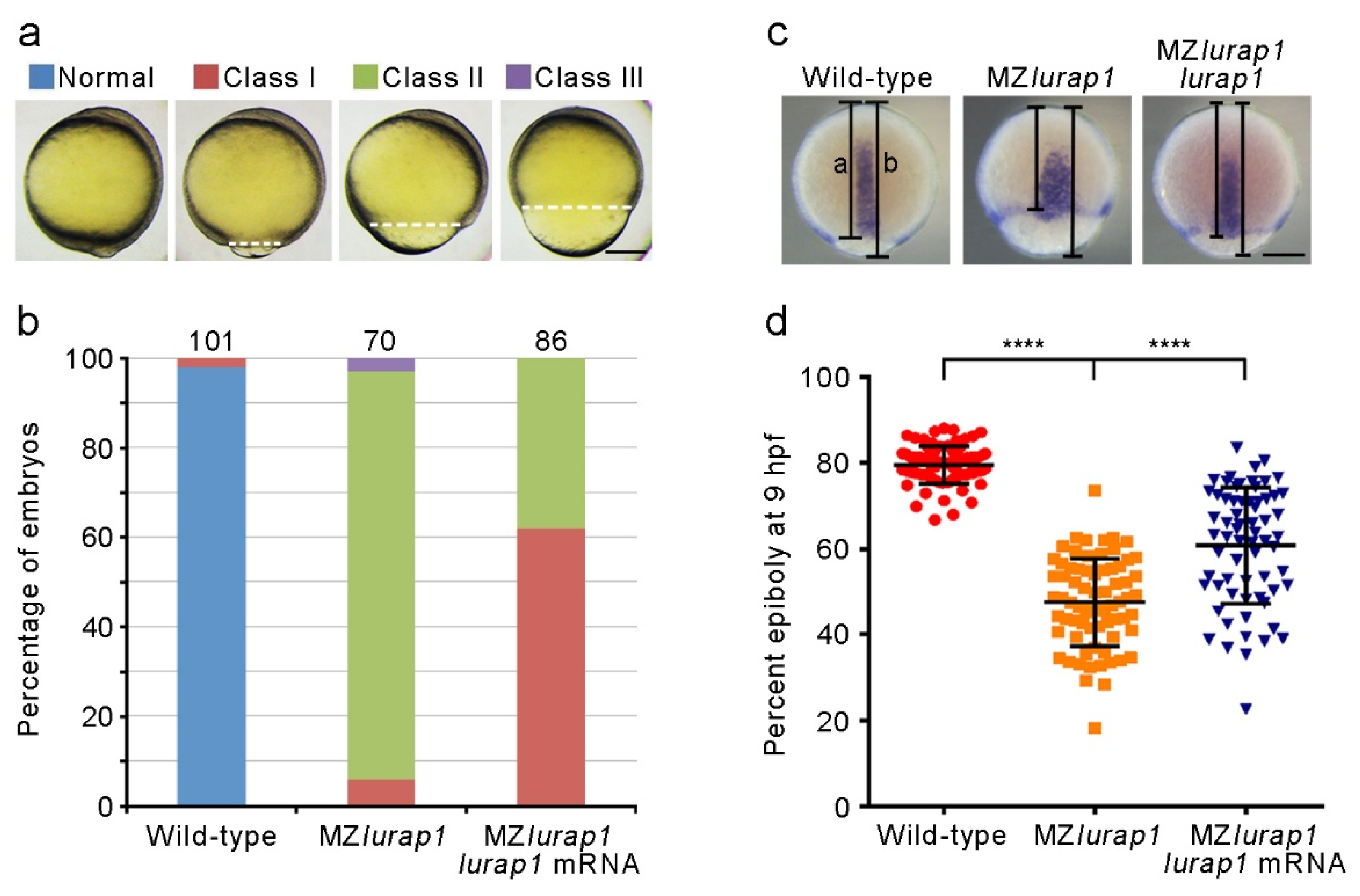 Biology 10 01337 g002 Biology 10 01337 g002