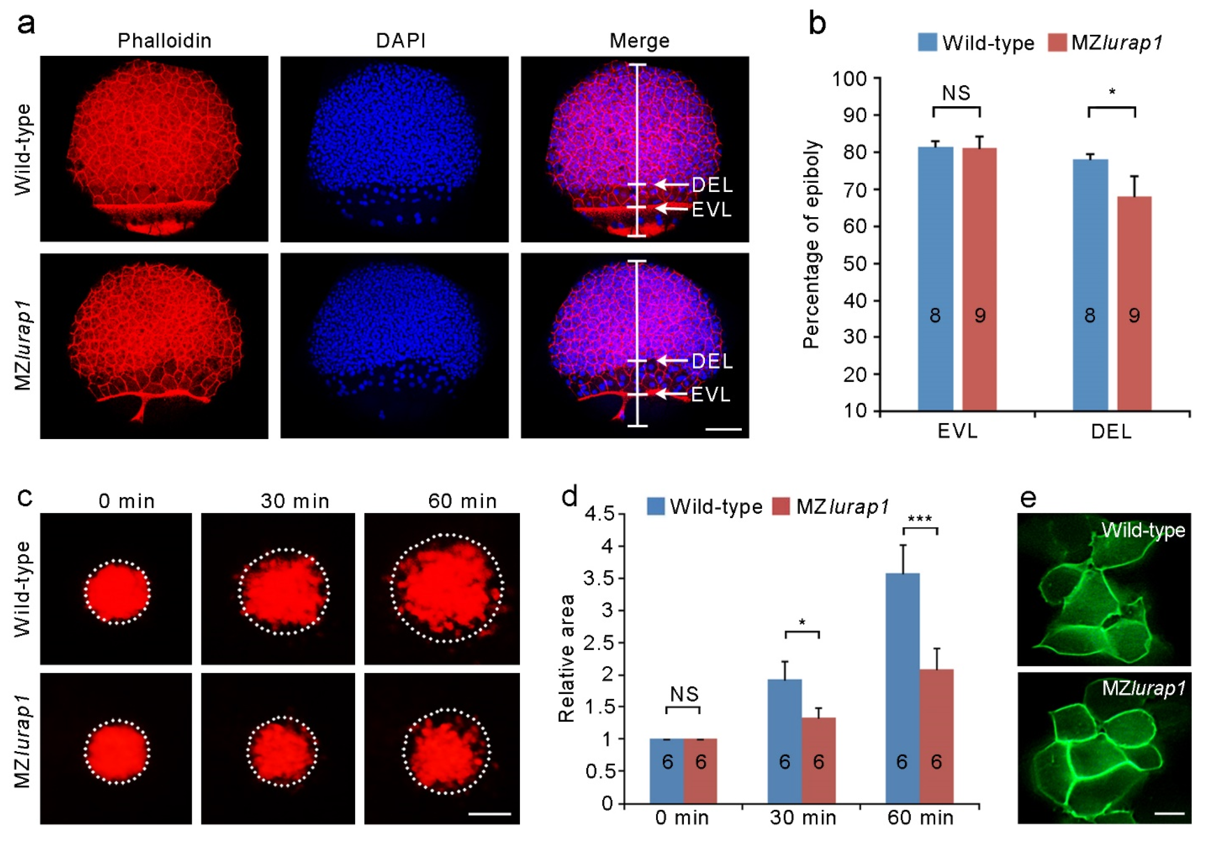 Biology 10 01337 g003 Biology 10 01337 g003