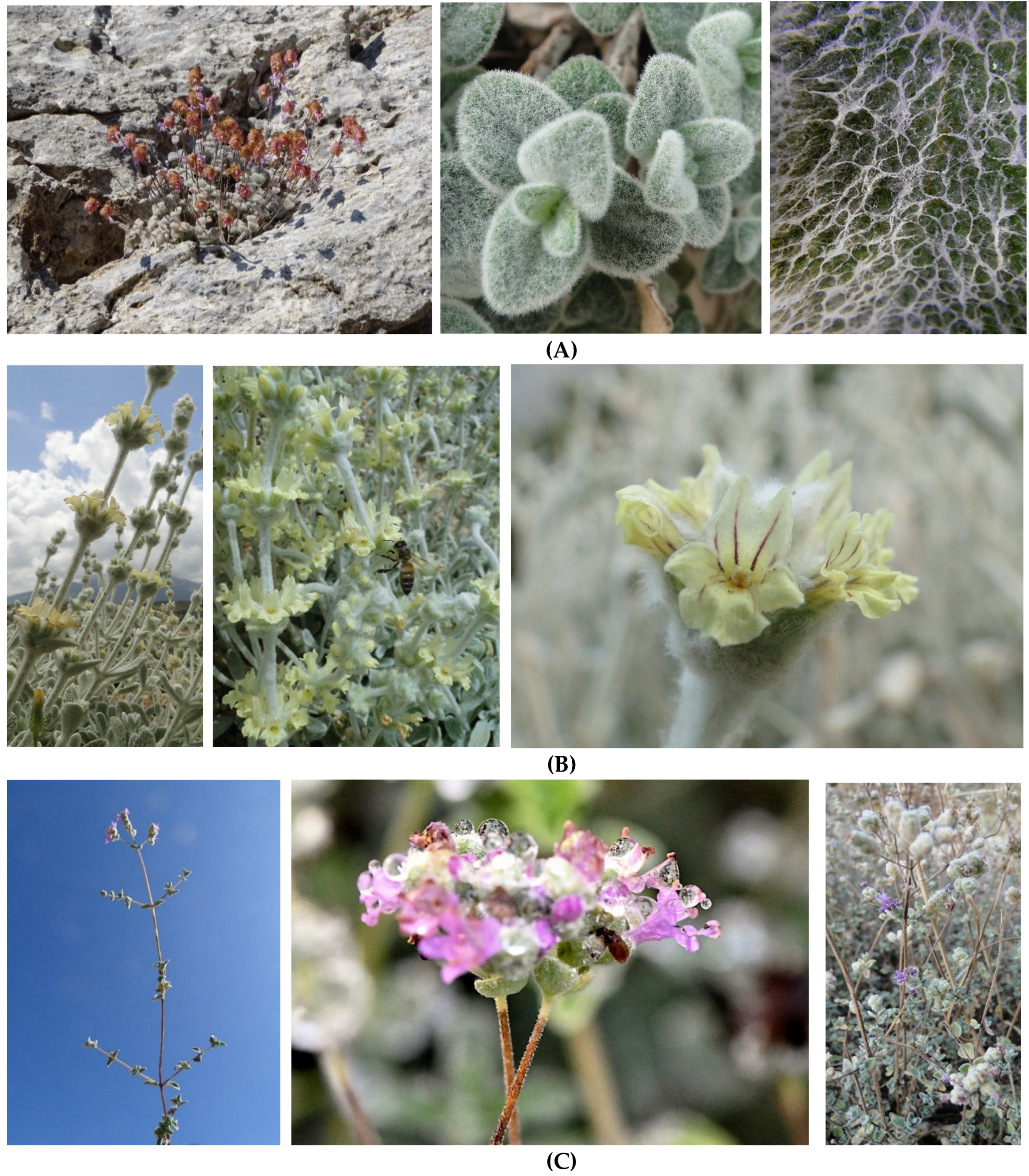 Biology 10 01344 g005