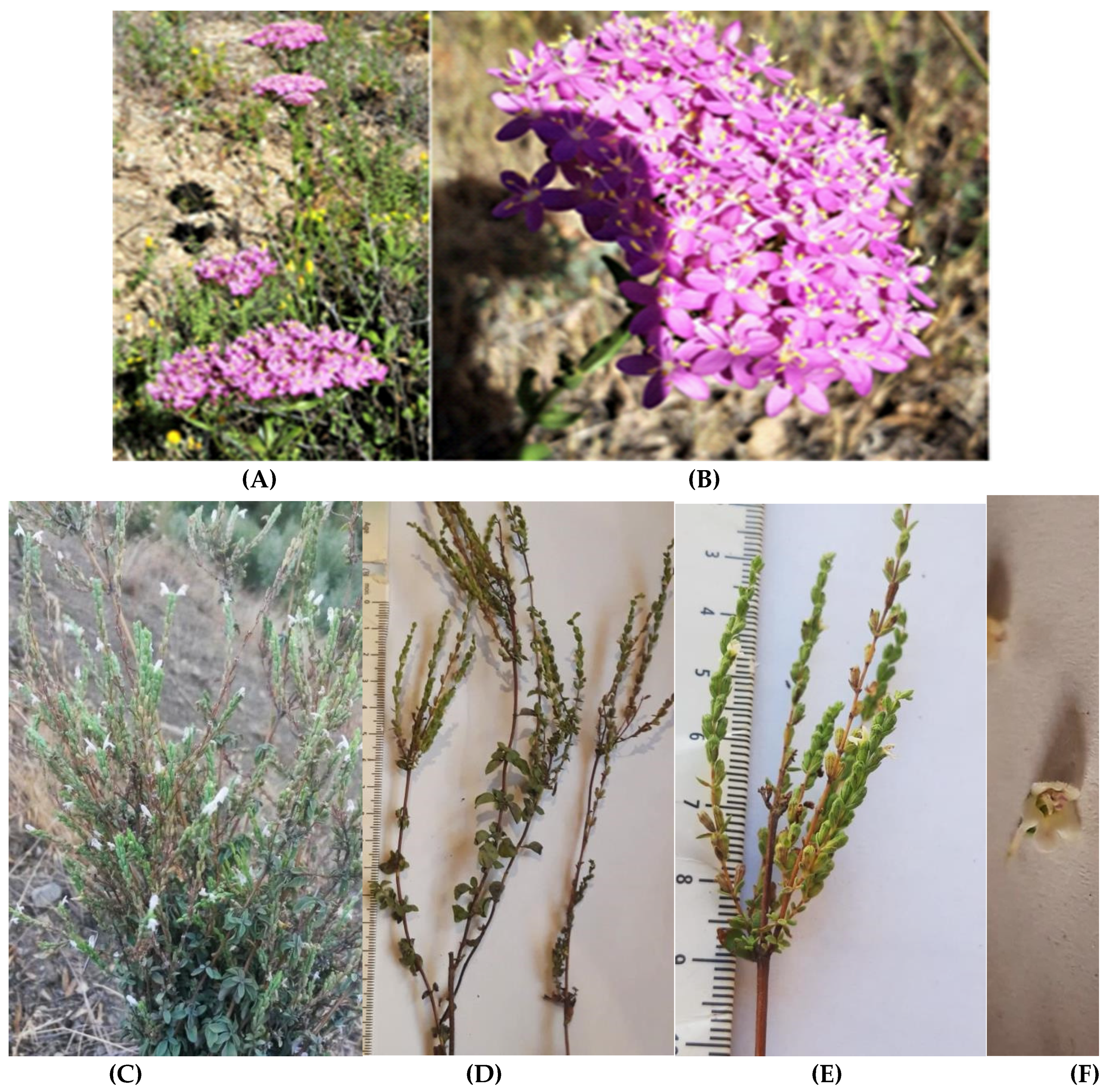 Biology 10 01344 g006a